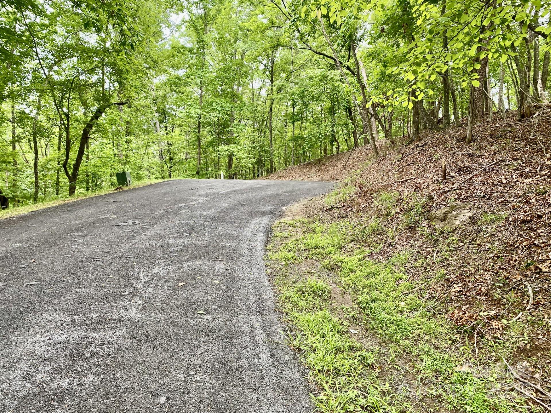 Property image 5 at 0 Granny Smith Lane, Lake Lure, NC 28746