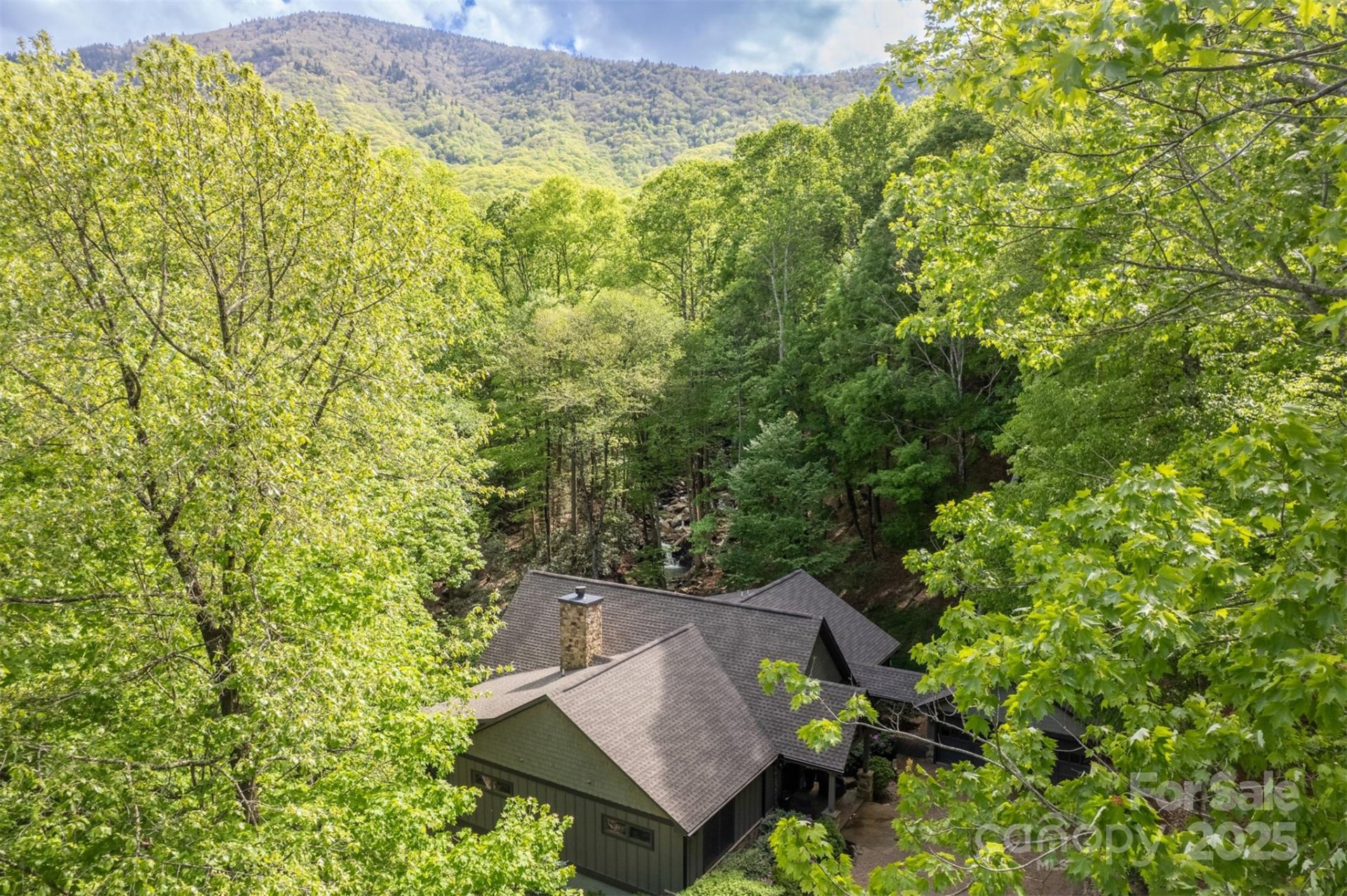 Property image 2 at 350 Celo Cove Drive, Burnsville, NC 28714