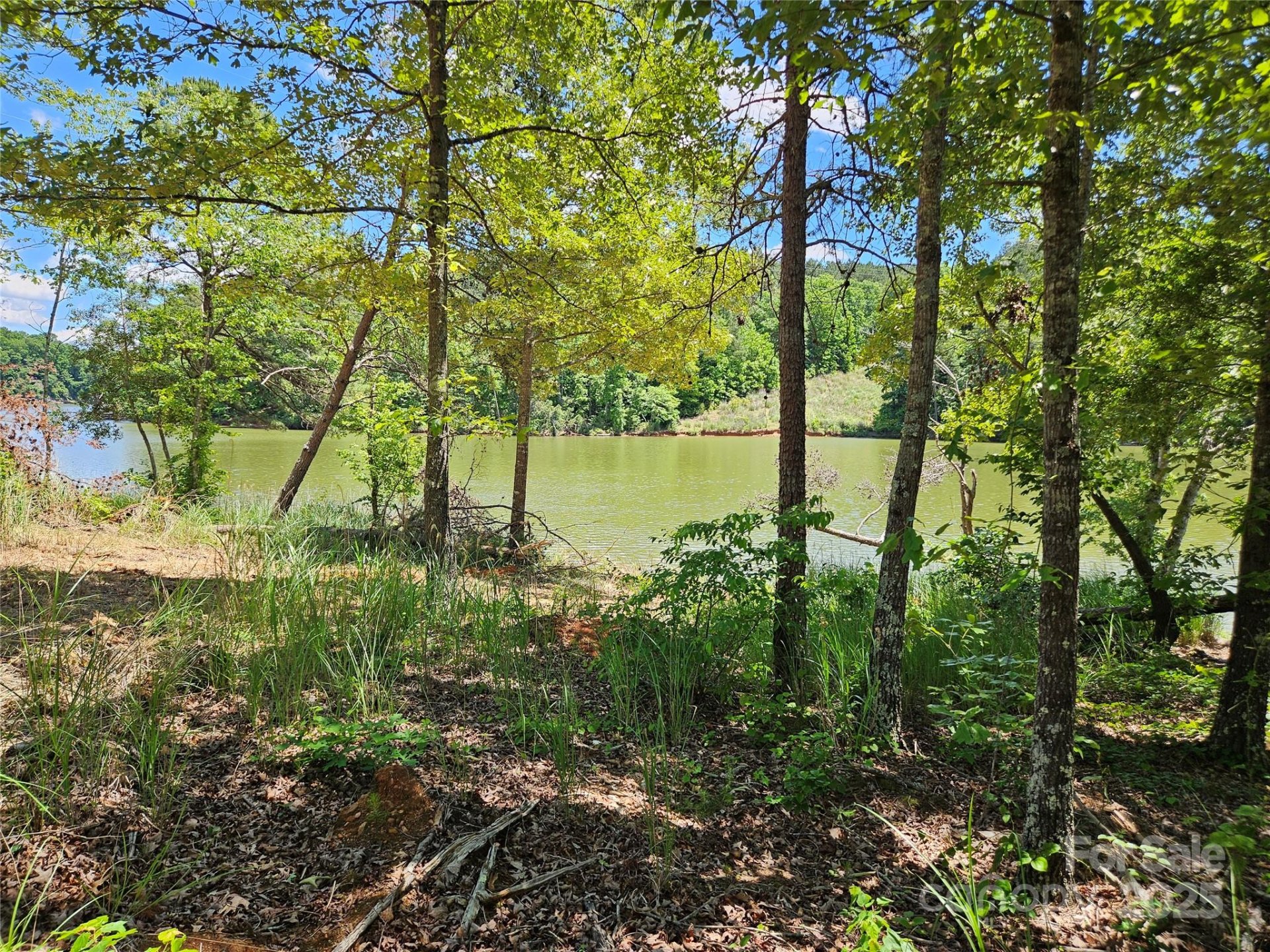 Property image 3 at 2294 Princeton Mountain None, Connelly Springs, NC 28612