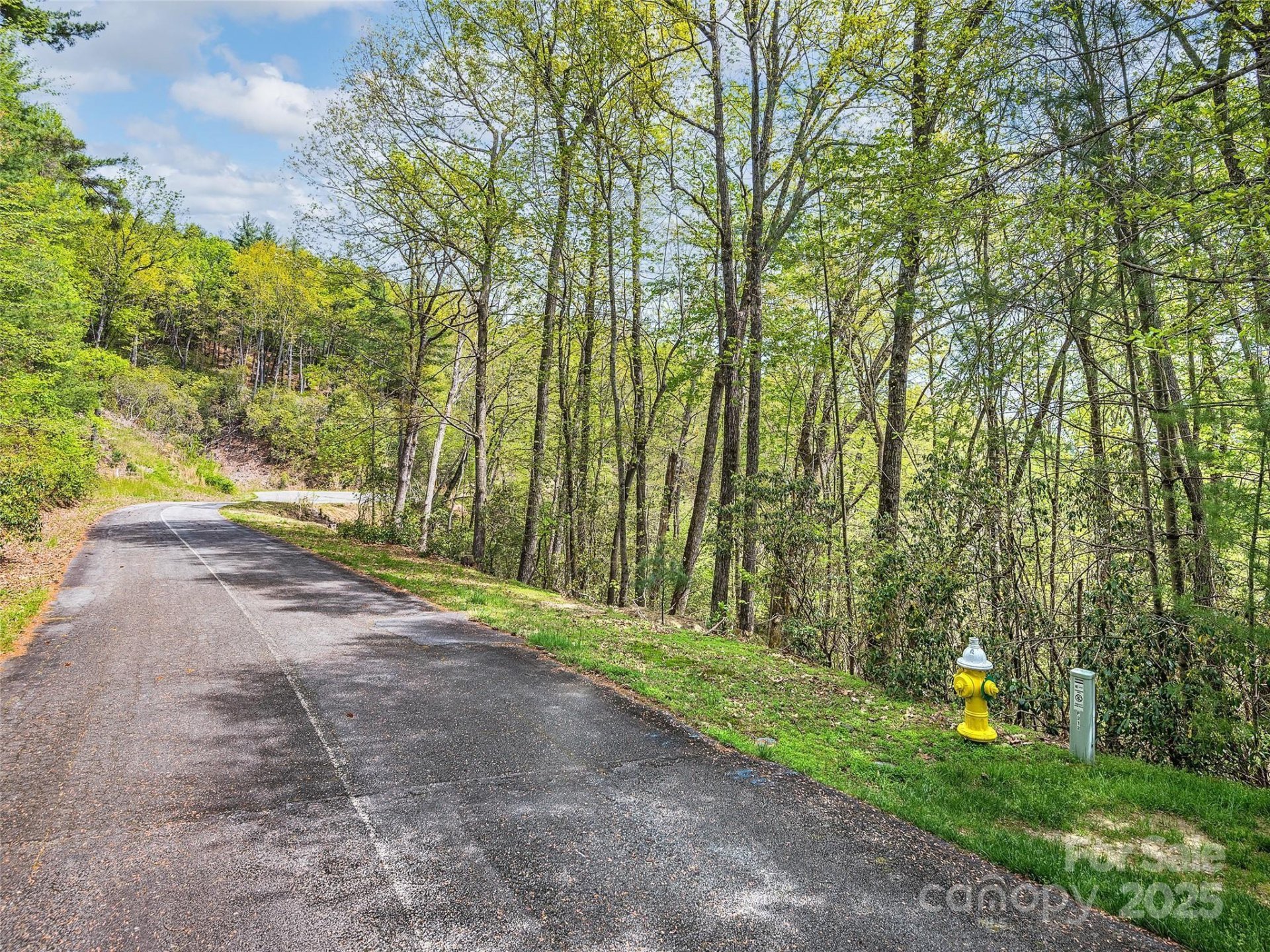 Property image 3 at Lot 53 Winterberry Drive, Hendersonville, NC 28739