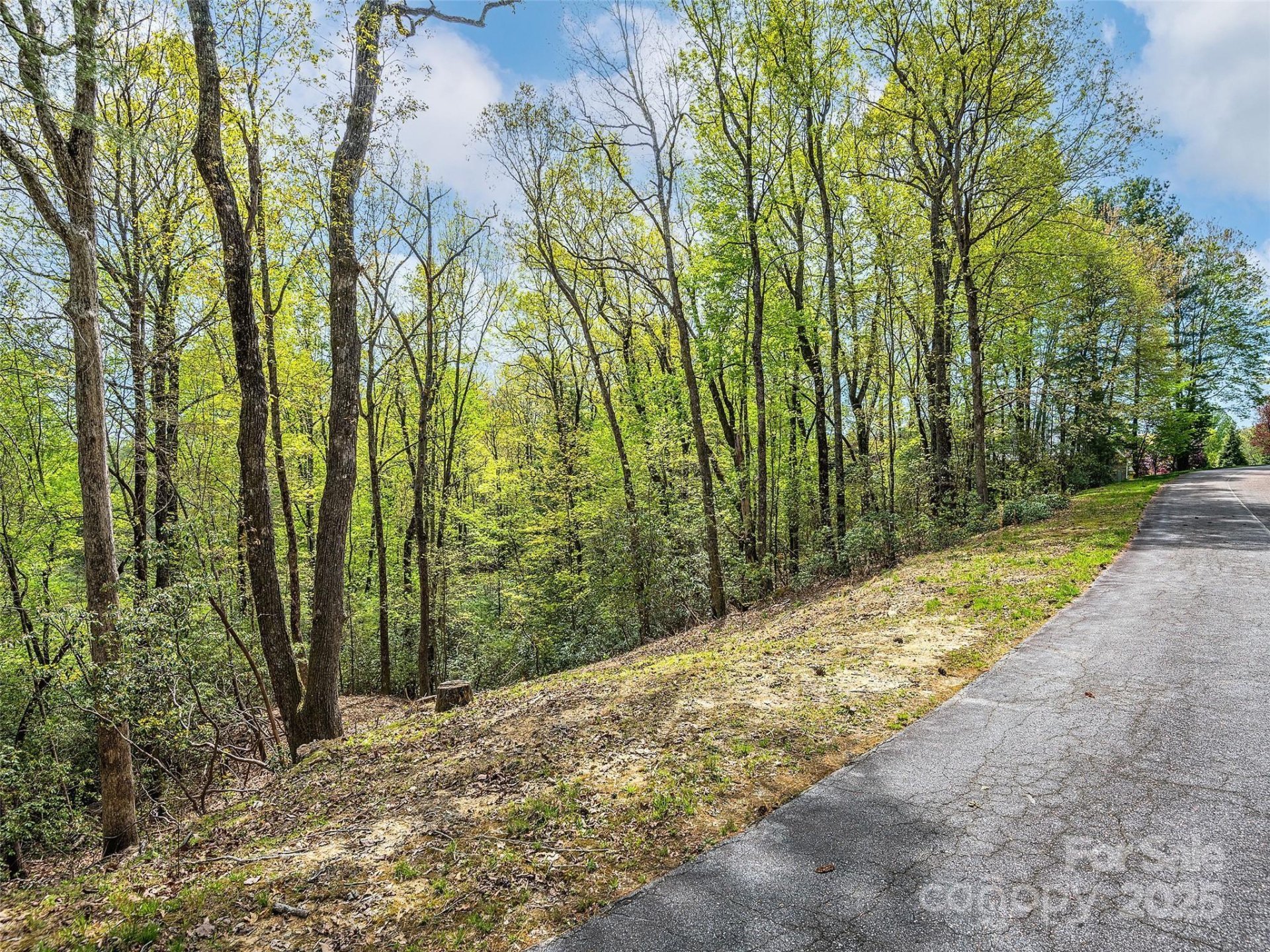 Property image 4 at Lot 53 Winterberry Drive, Hendersonville, NC 28739