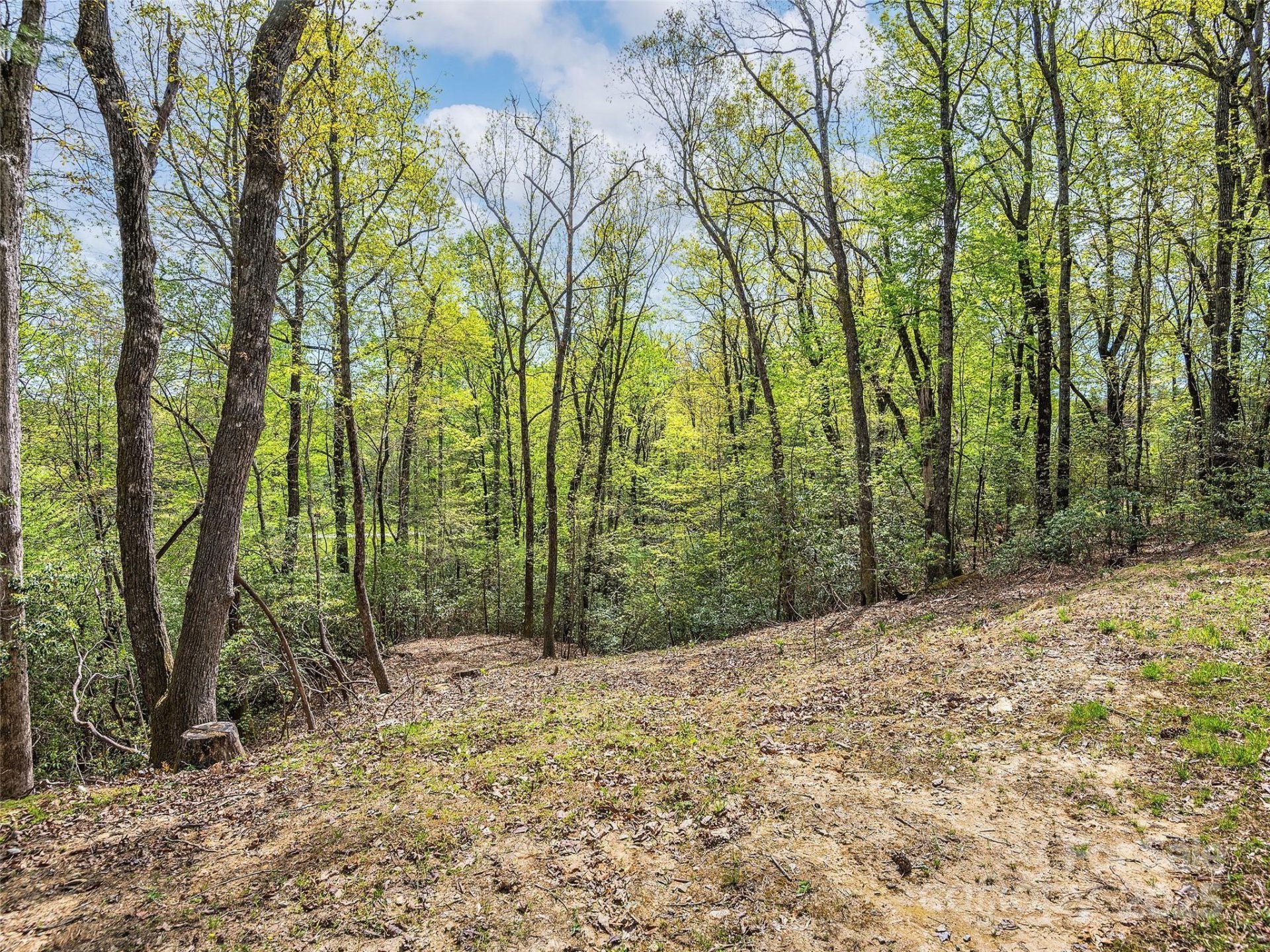 Property image 5 at Lot 53 Winterberry Drive, Hendersonville, NC 28739