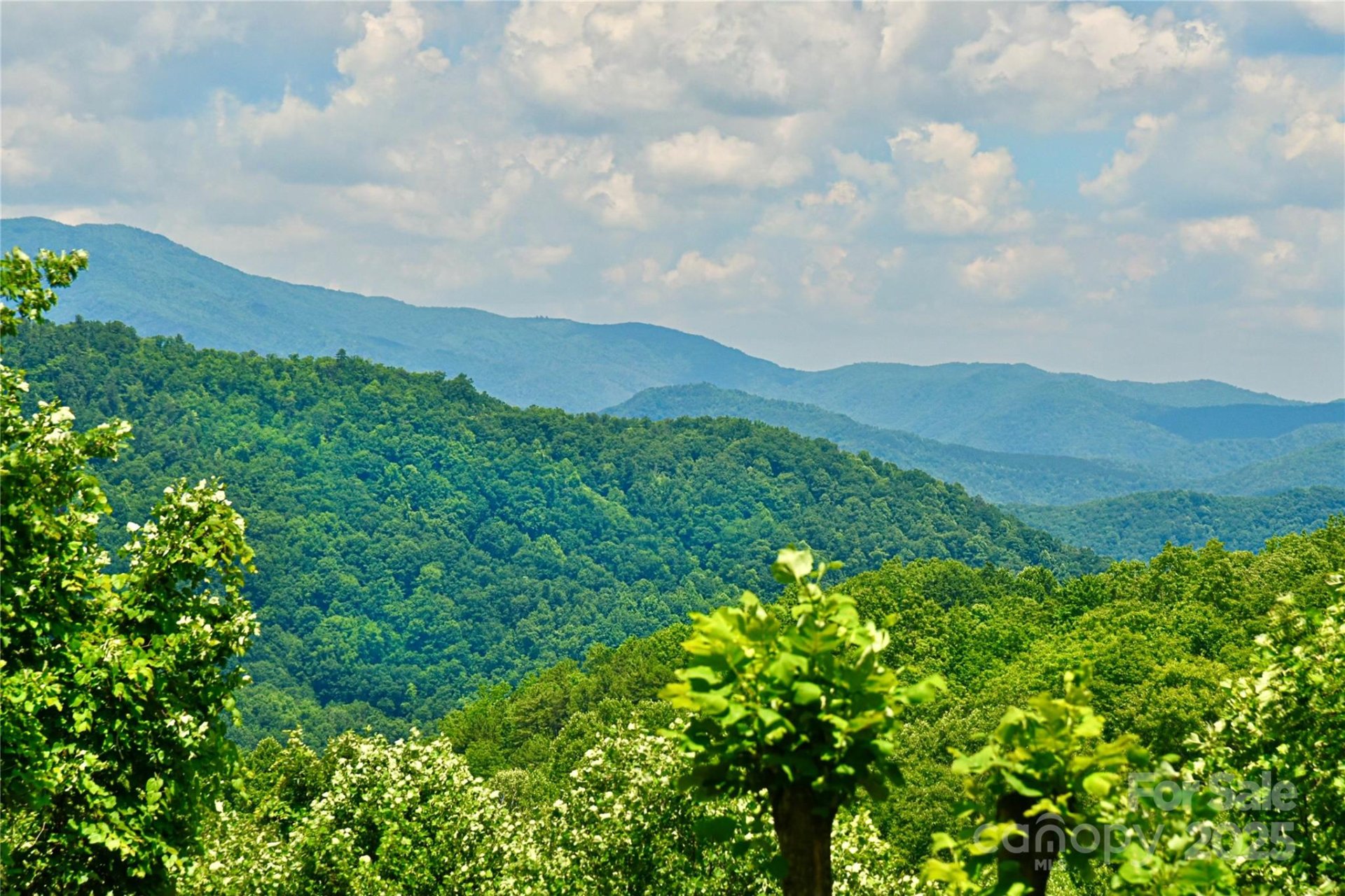 Property image 2 at 140 Atlantic Falls Trail, Black Mountain, NC 28711