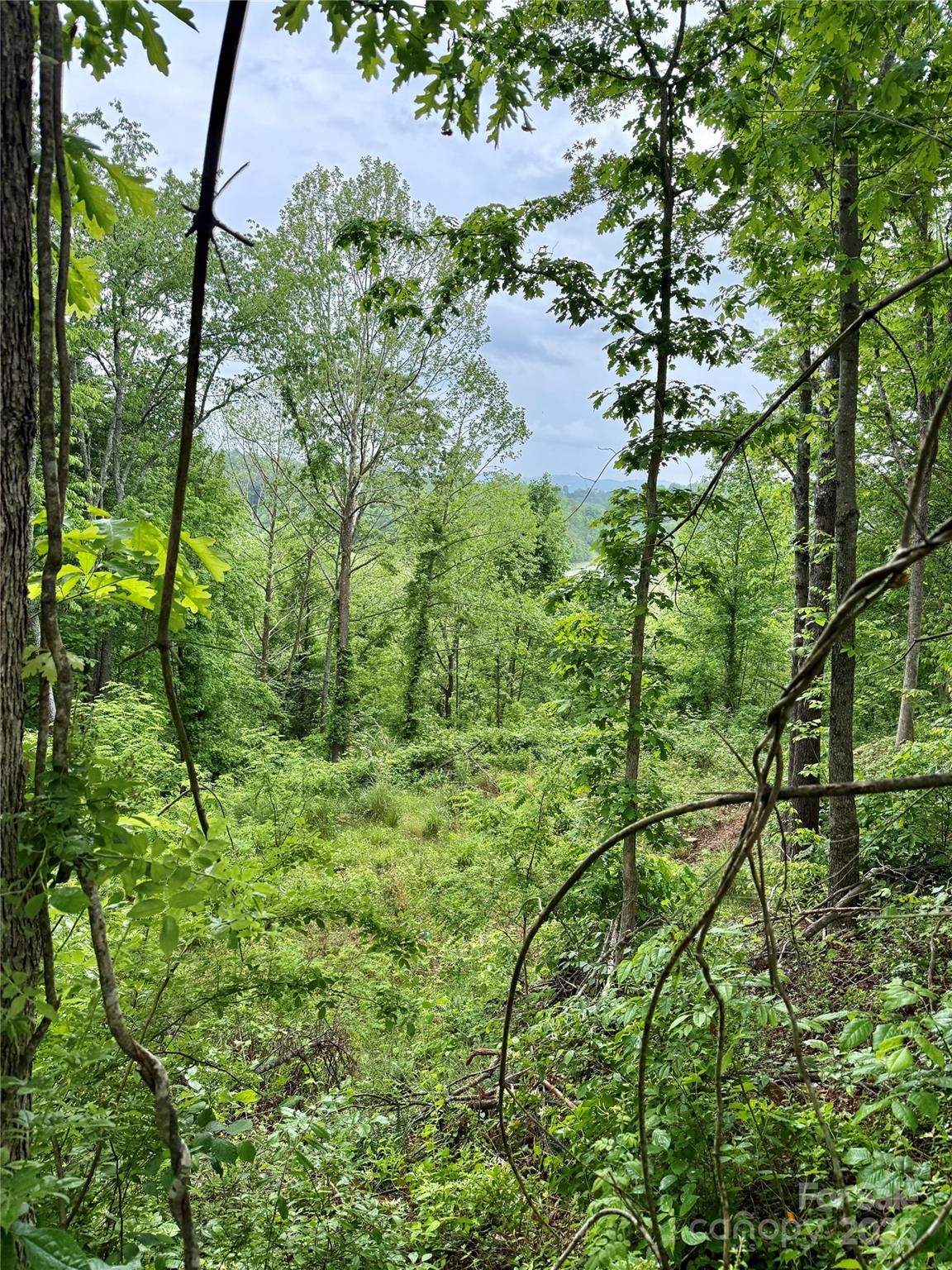 Property image 2 at 12 Willow Knoll Drive, Weaverville, NC 28787