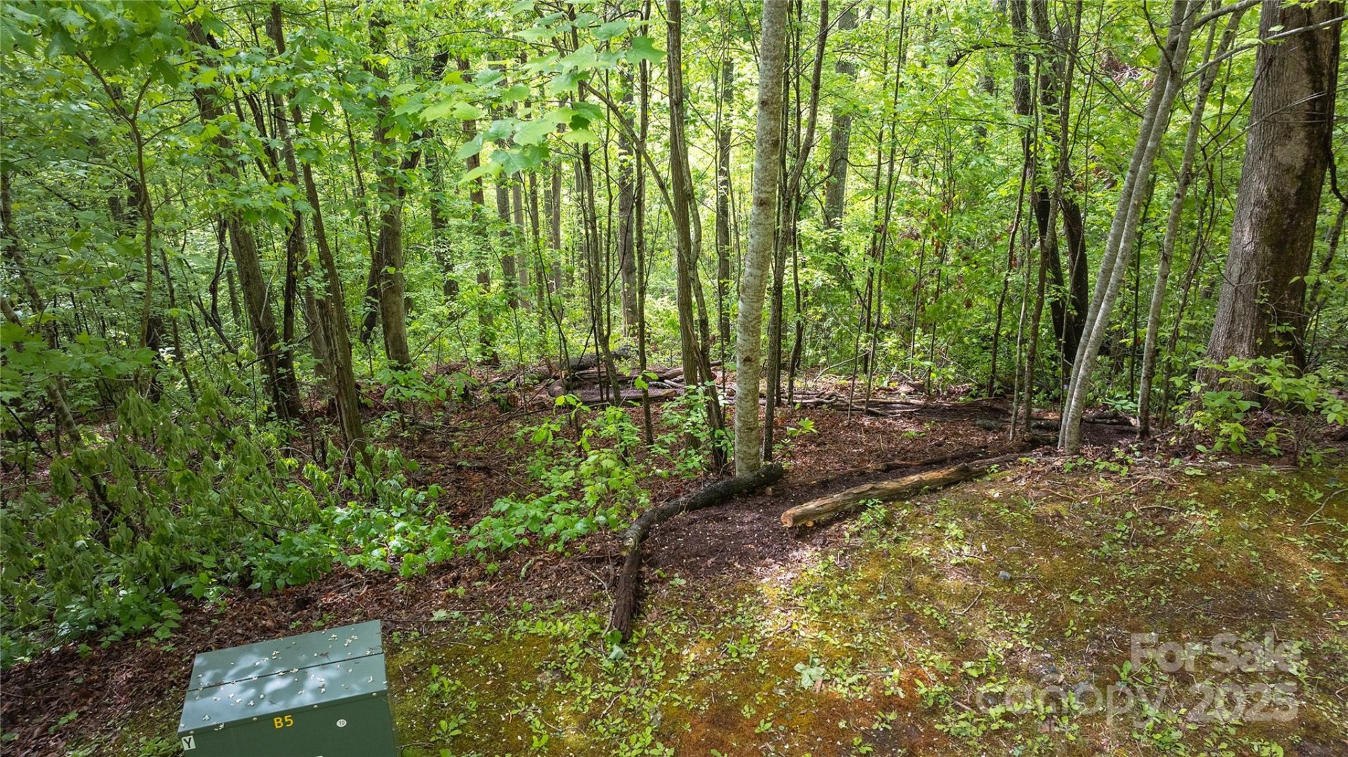 Property image 3 at Lot 59 Waterdance Drive, Tuckasegee, NC 28783