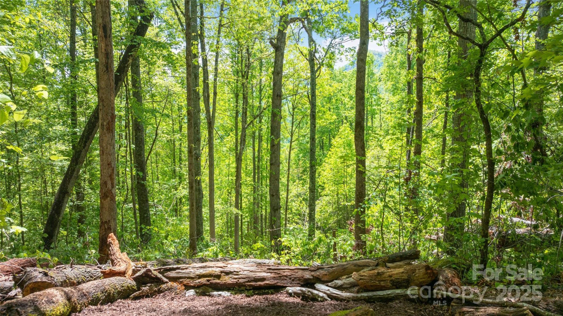 Property image 5 at Lot 59 Waterdance Drive, Tuckasegee, NC 28783