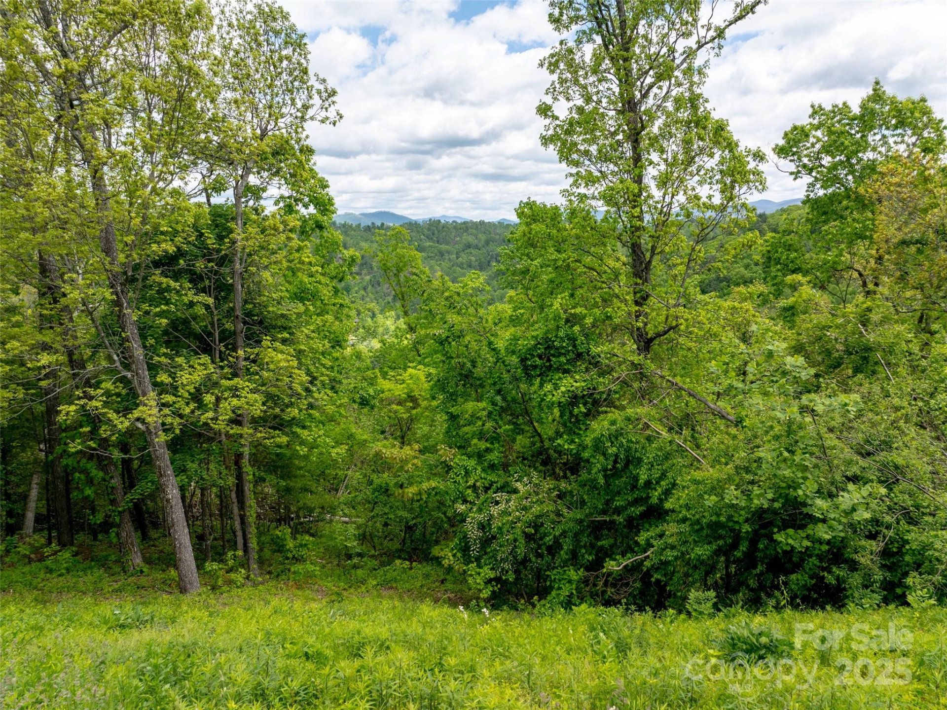 Property image 3 at 124 Summit Tower Circle, Asheville, NC 28804