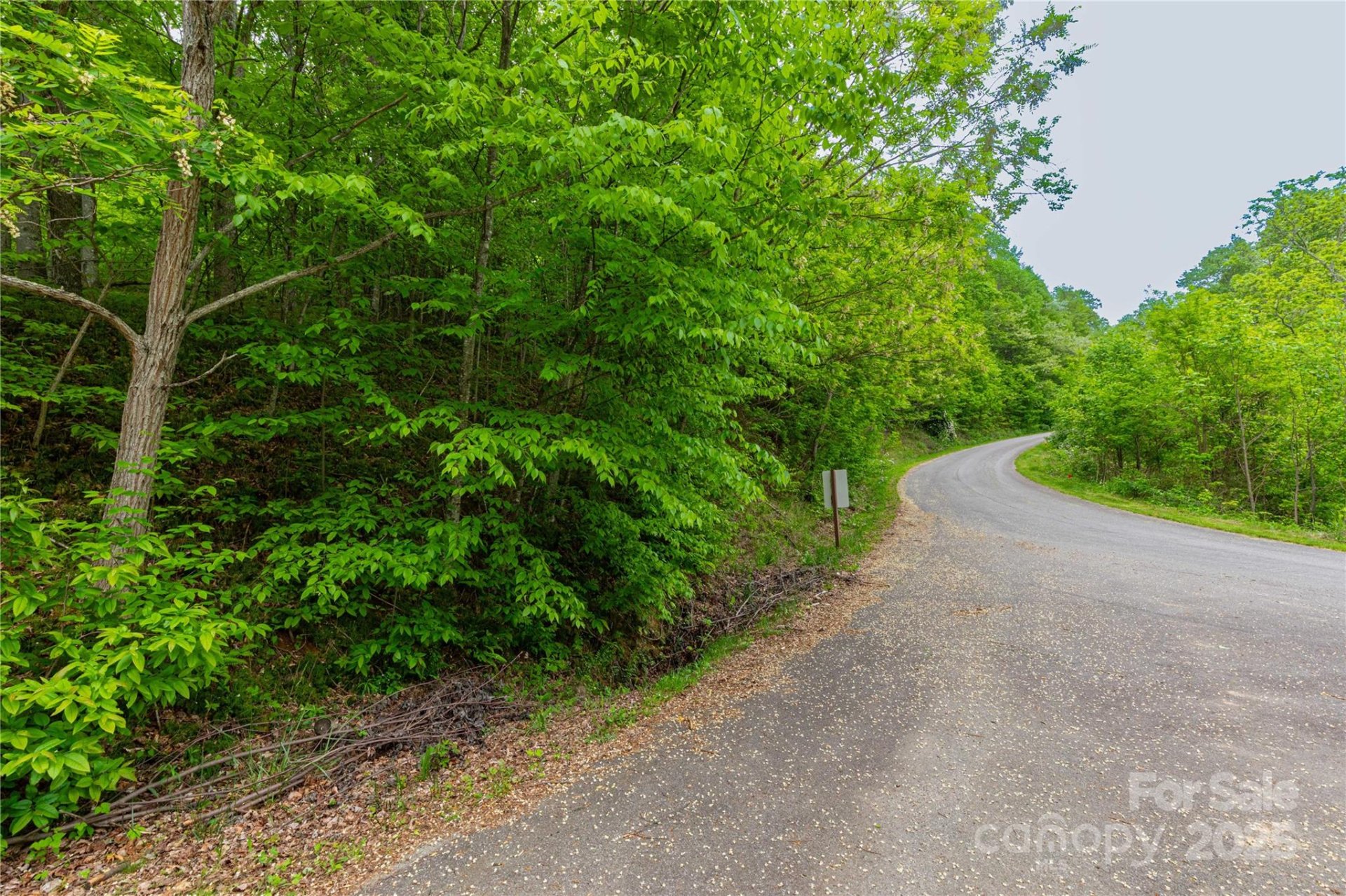 Property image 3 at 129 Mount Soma Boulevard, Clyde, NC 28721