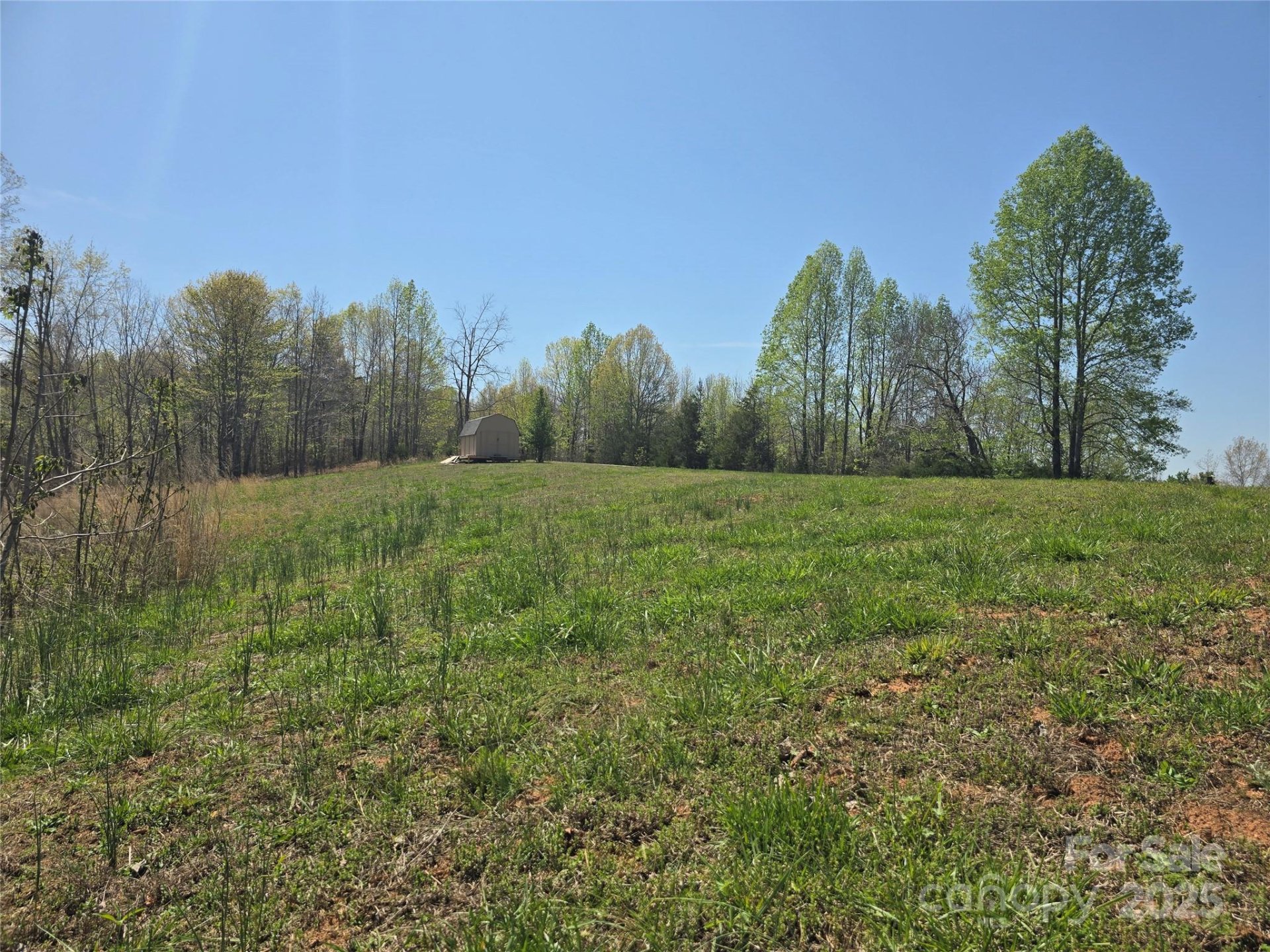 0 Hickory Loop