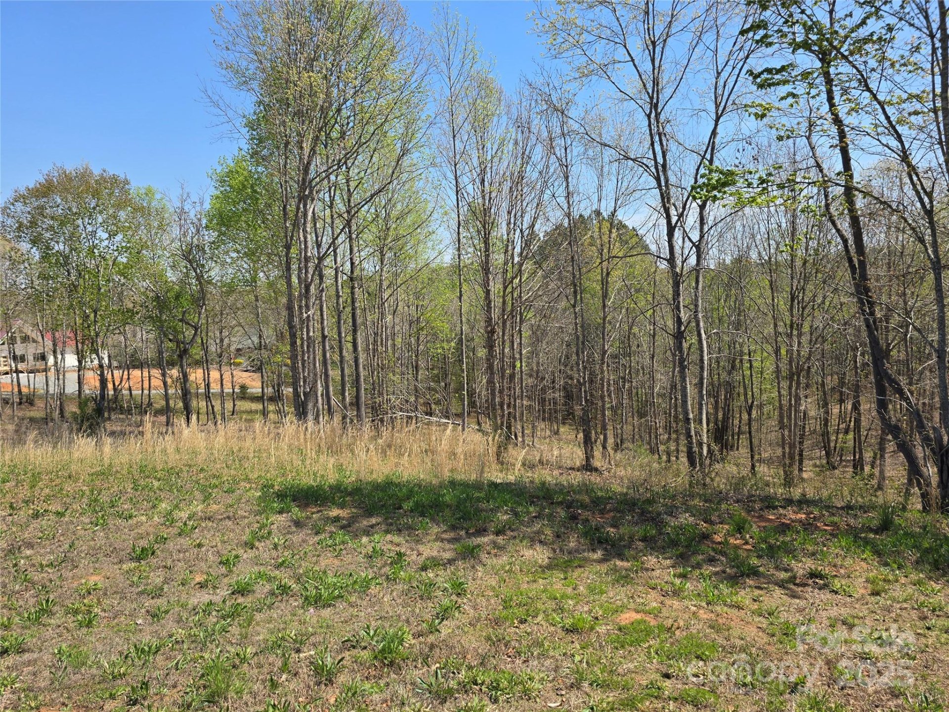 Property image 5 at 0 Hickory Loop, Rutherfordton, NC 28139