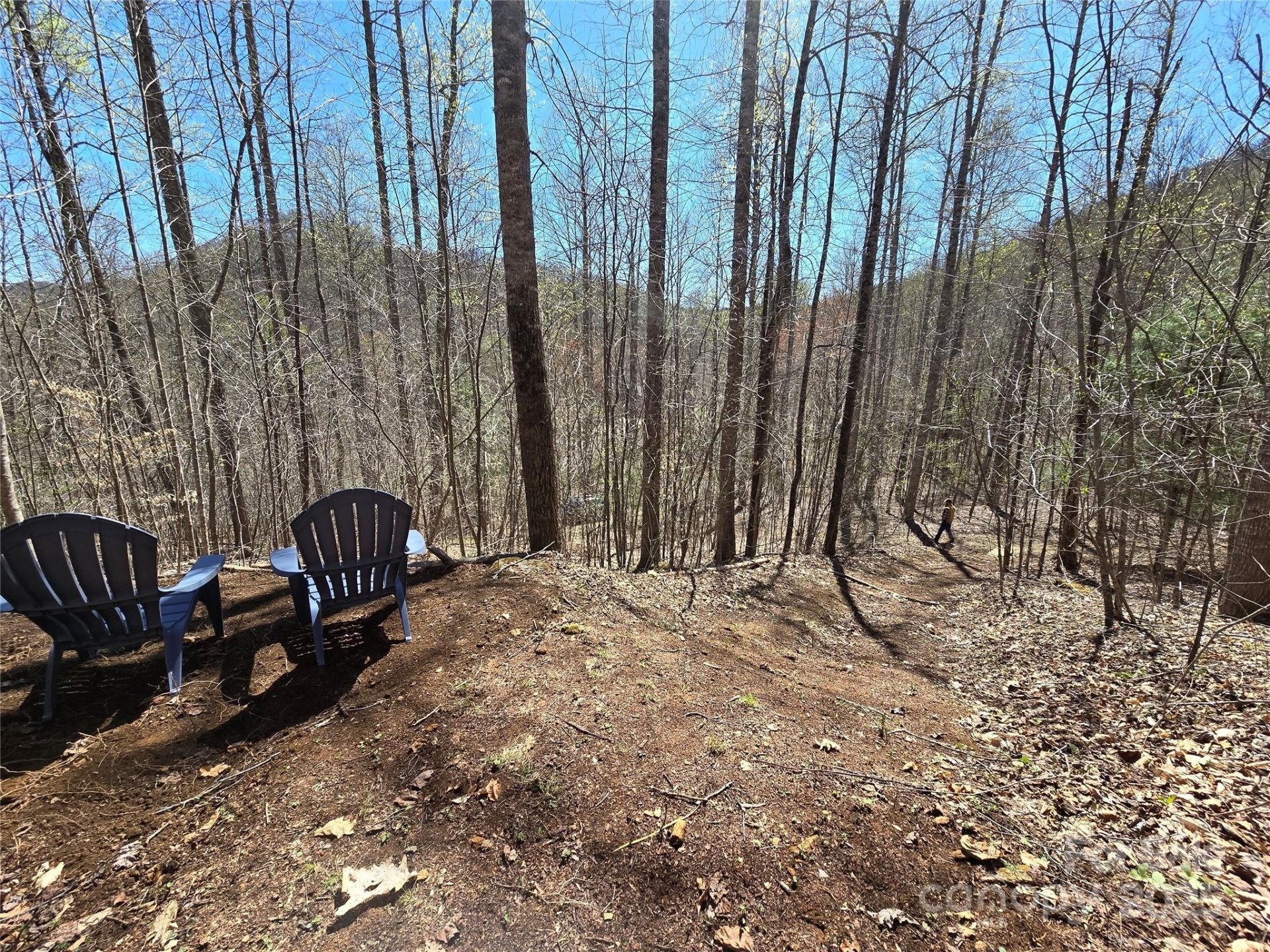 Property image 5 at Lot 39 Sweet Spring Trail, Glenville, NC 28736