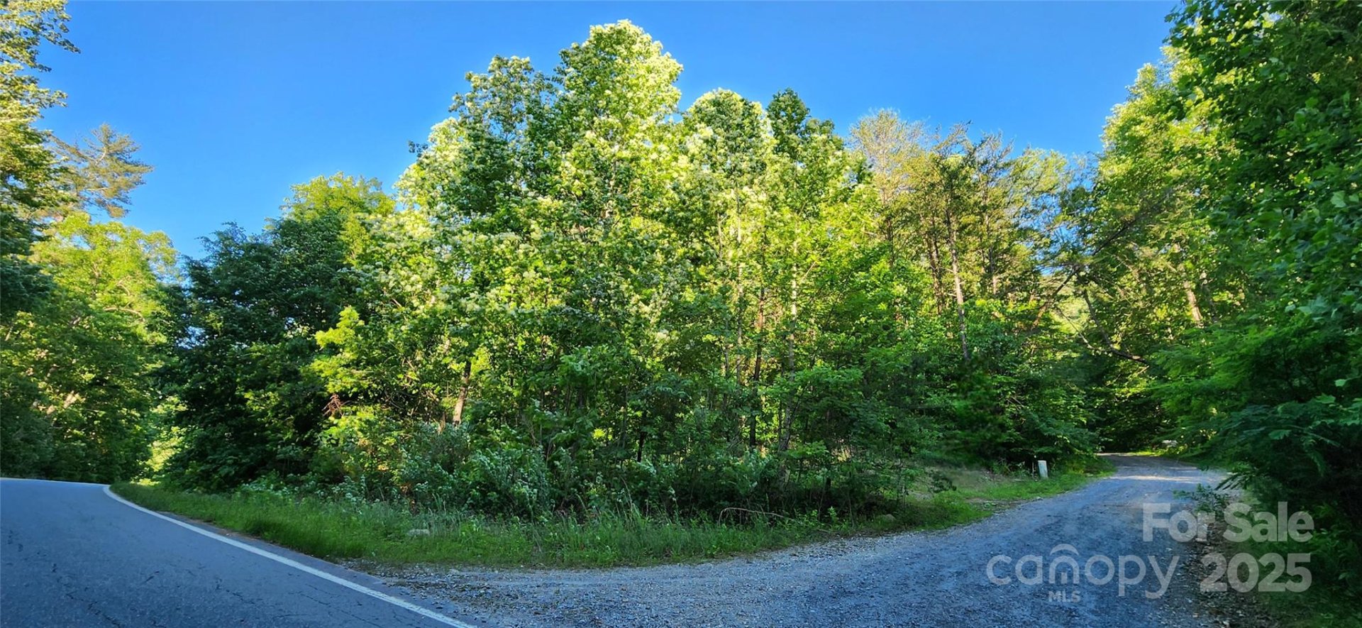 Property image 1 at 0 Buffalo Creek Road, Lake Lure, NC 28746
