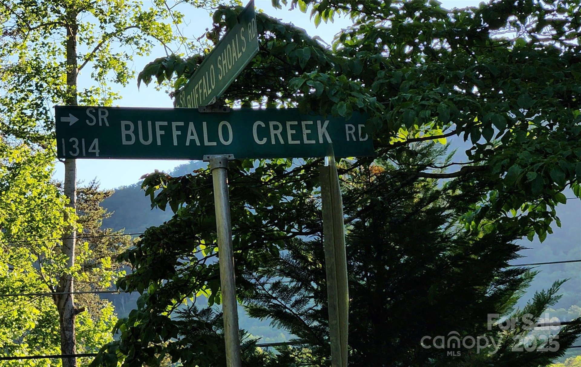 Property image 3 at 0 Buffalo Creek Road, Lake Lure, NC 28746