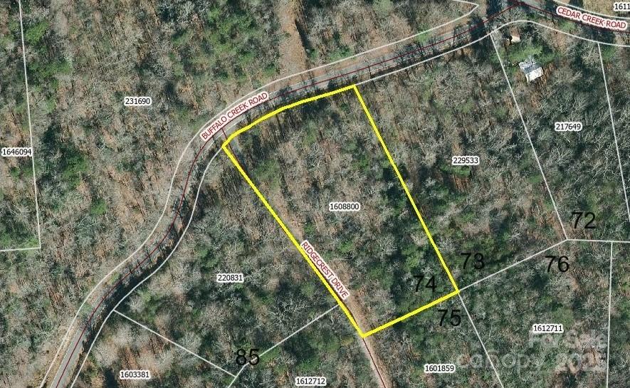 Property image 4 at 0 Buffalo Creek Road, Lake Lure, NC 28746