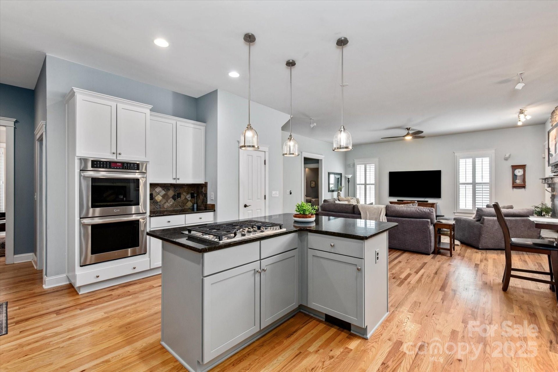 Property image 5 at 189 Mills Lane, Fort Mill, SC 29708