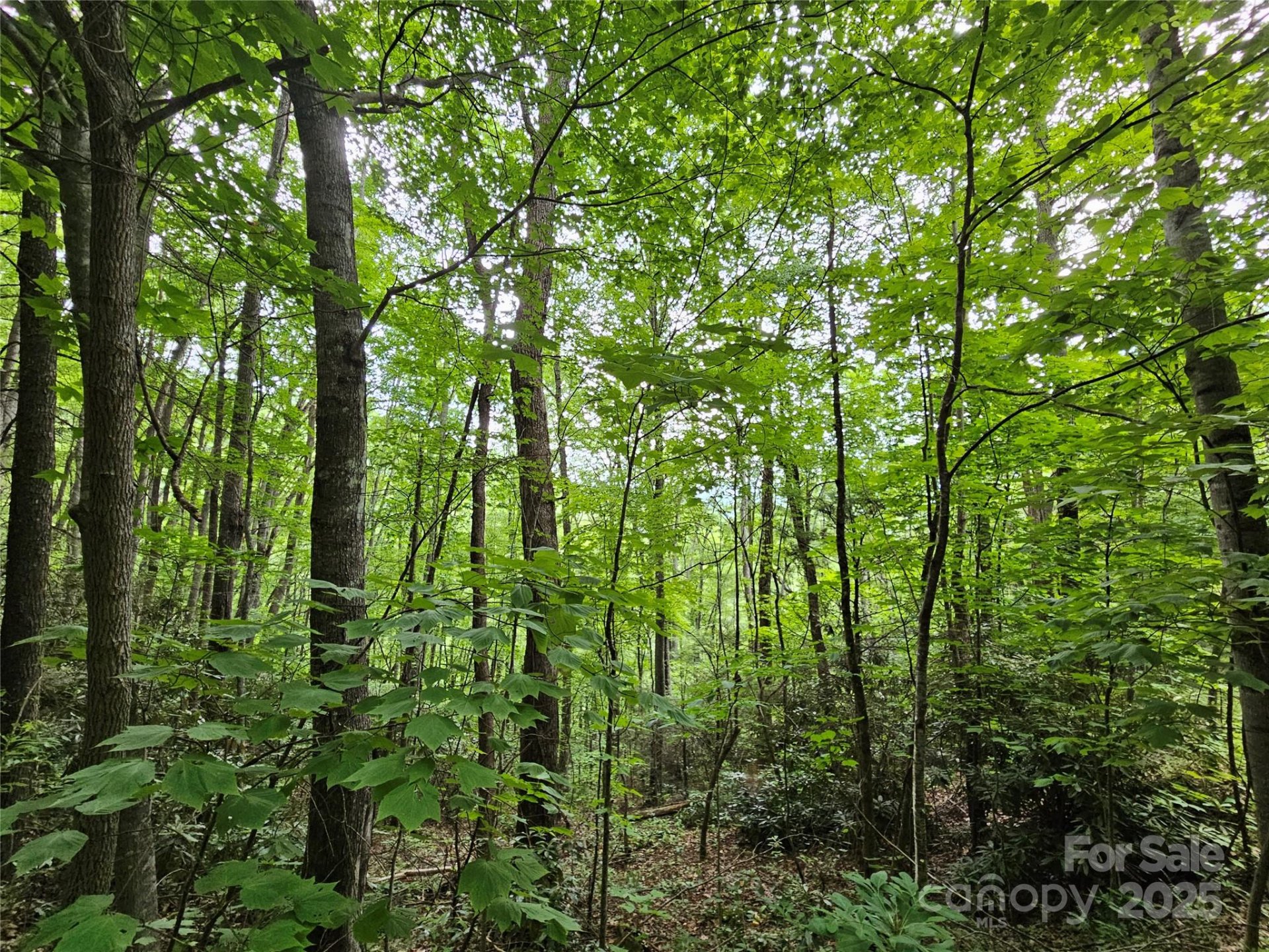 Property image 2 at 00 Autumn Drive, Waynesville, NC 28785