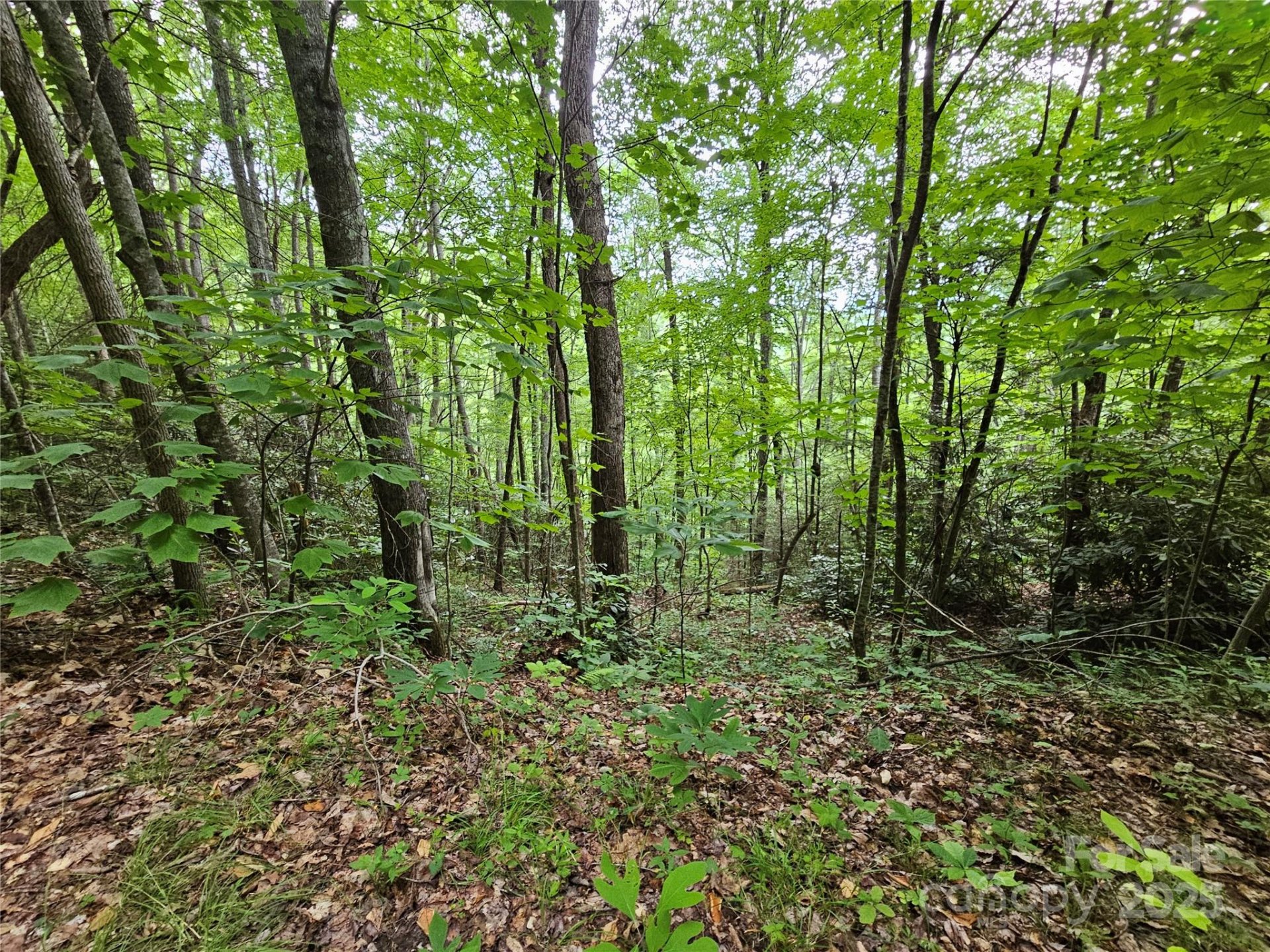 Property image 3 at 00 Autumn Drive, Waynesville, NC 28785