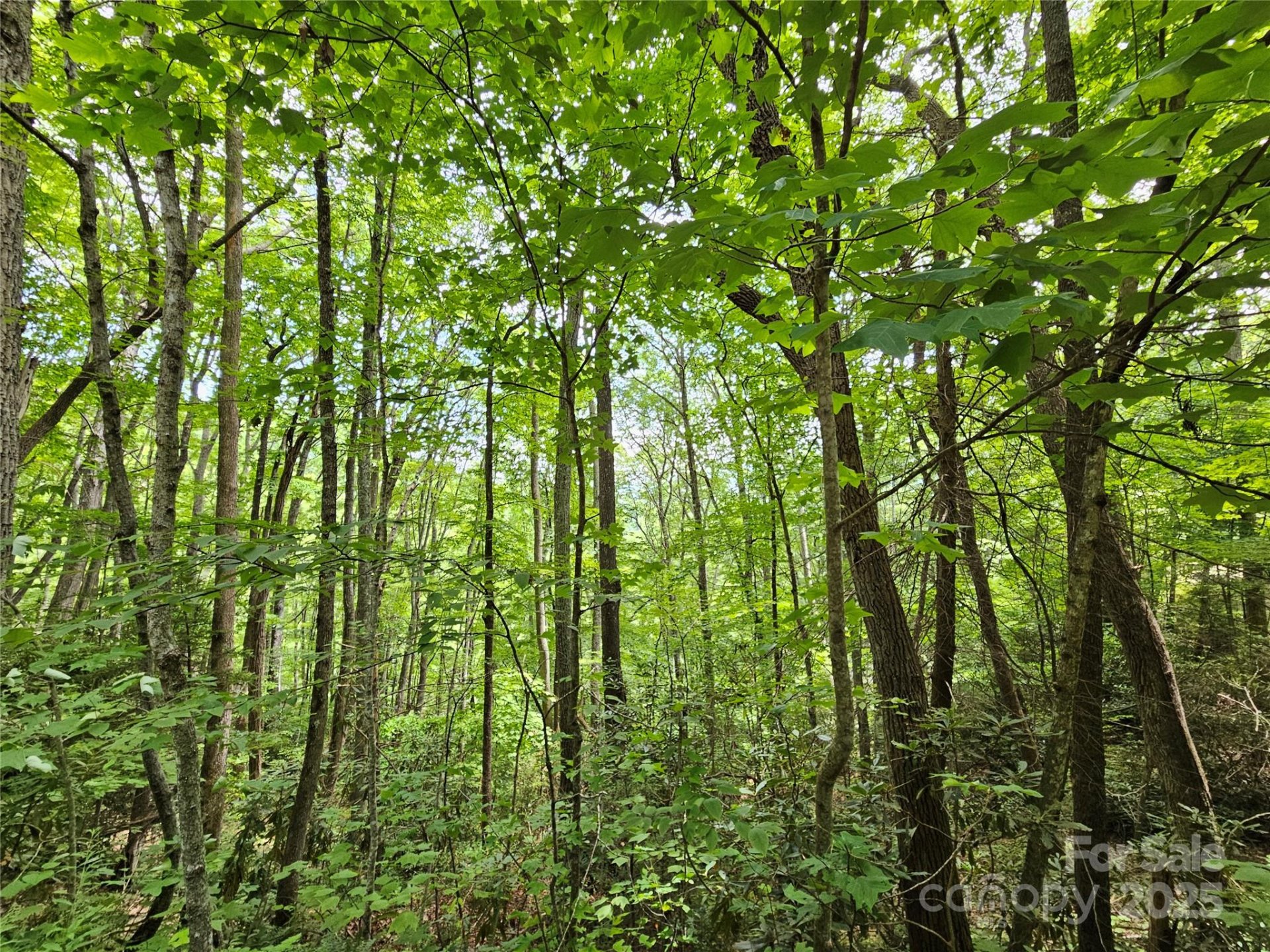 Property image 4 at 00 Autumn Drive, Waynesville, NC 28785