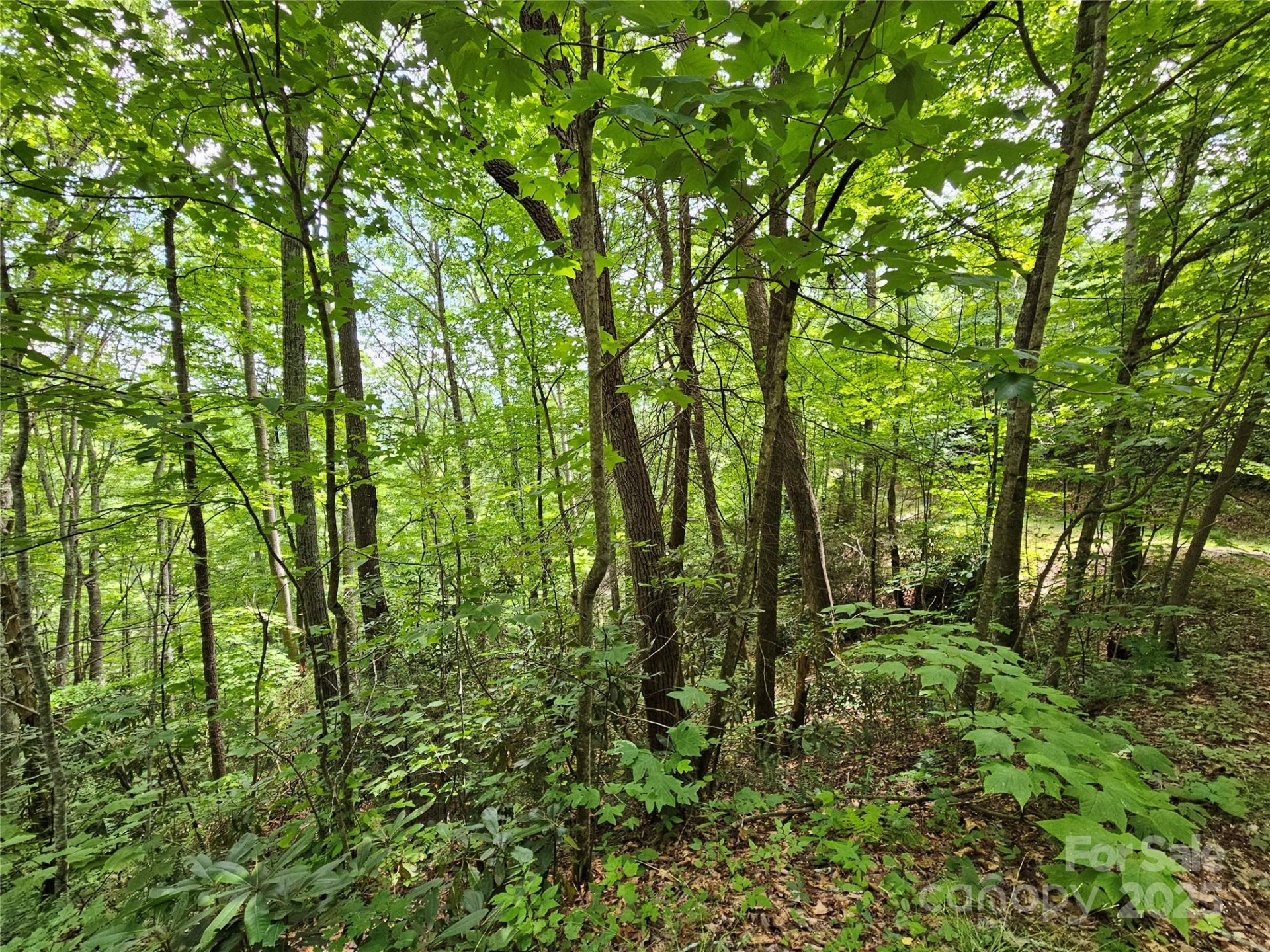 Property image 5 at 00 Autumn Drive, Waynesville, NC 28785
