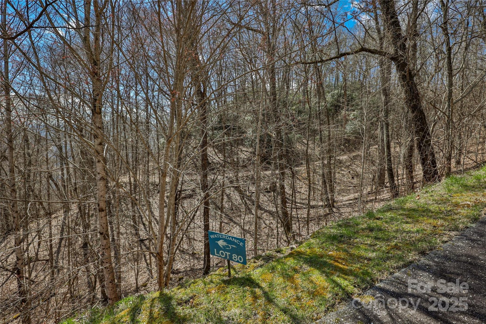 Property image 2 at Lot 80 Waterdance Drive, Tuckasegee, NC 28783