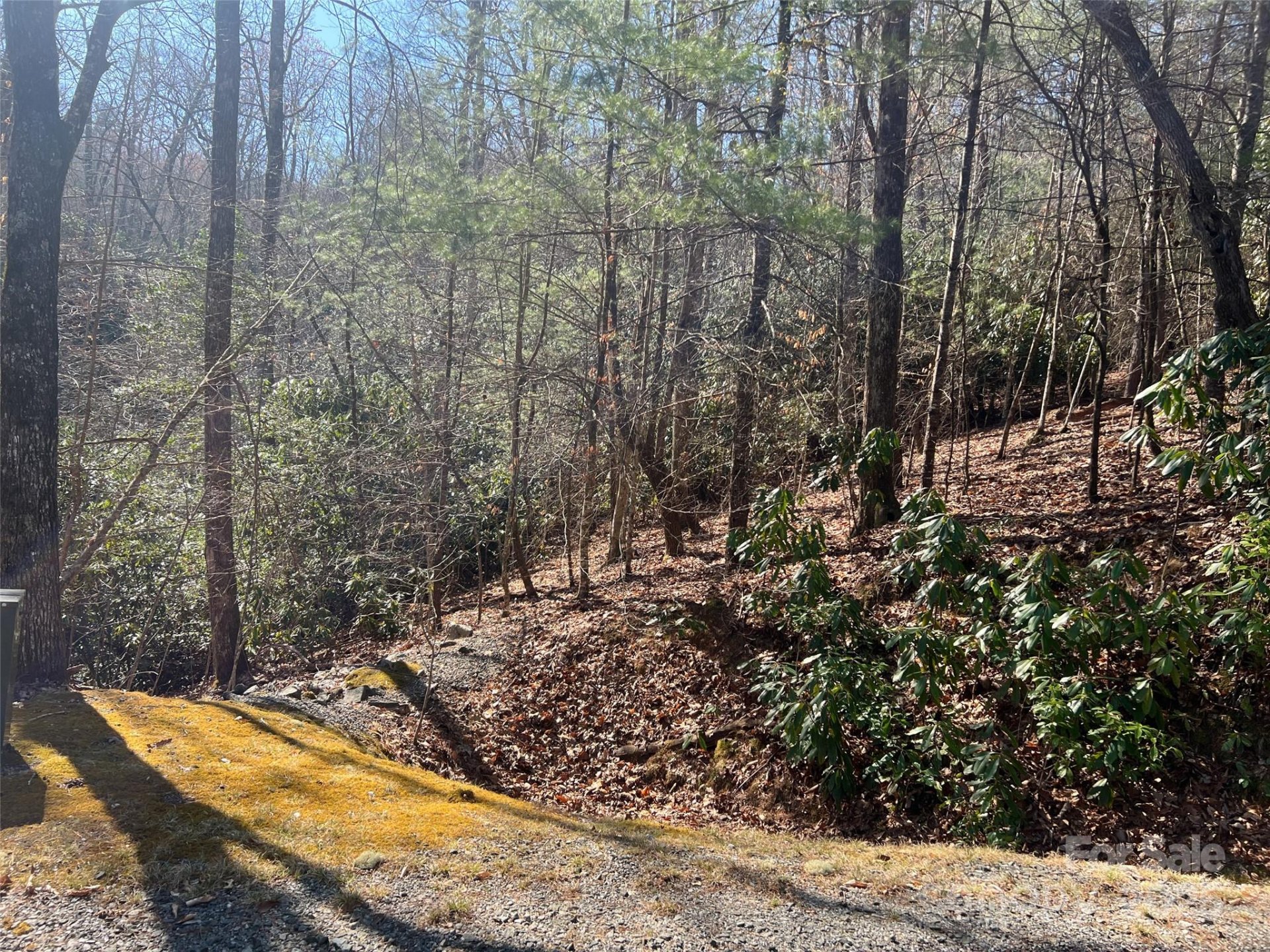 Property image 3 at 0000 Reserve Road, Pisgah Forest, NC 28768