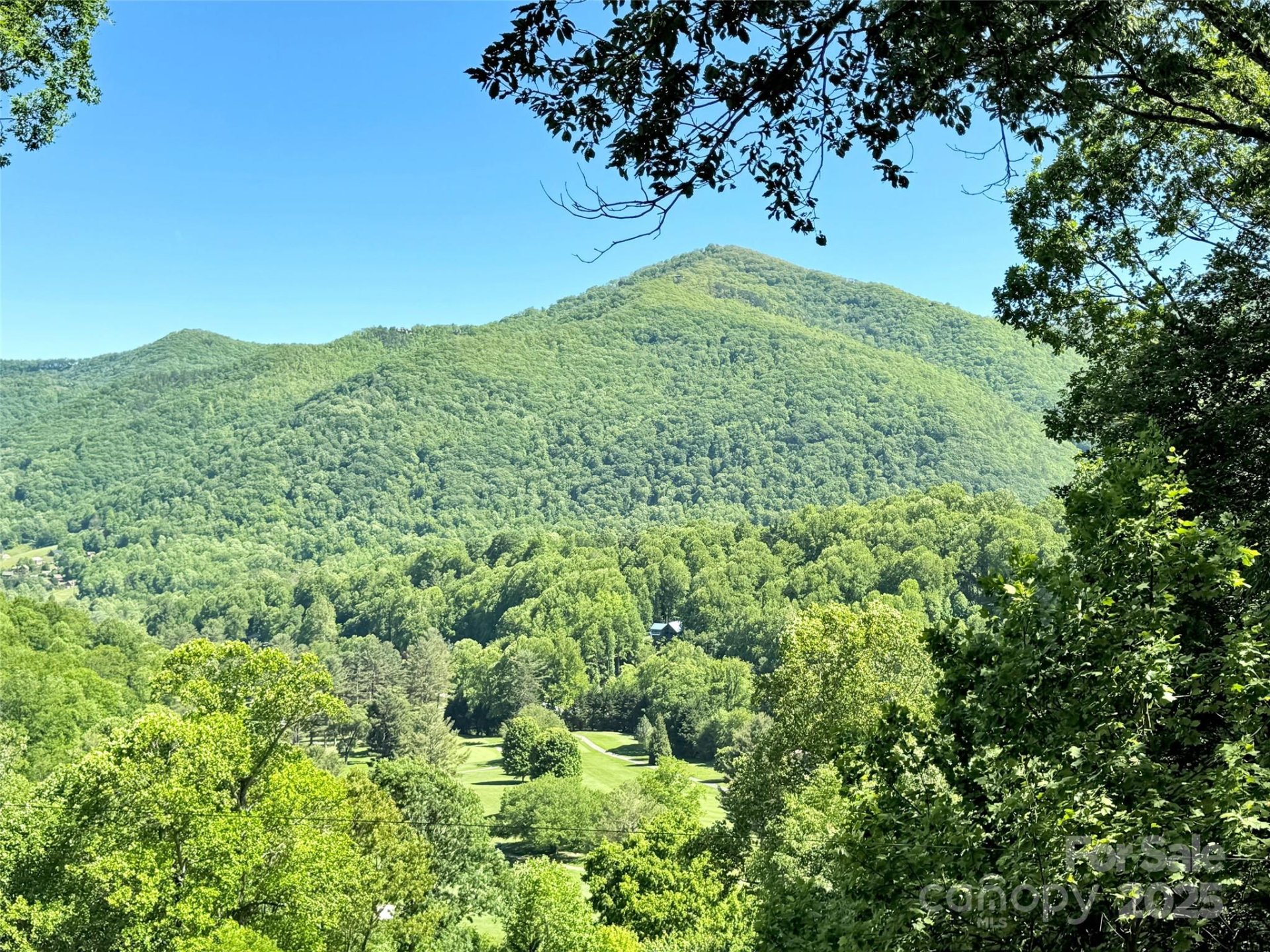 Property image 3 at 80 Hidden Falls Road, Maggie Valley, NC 28751