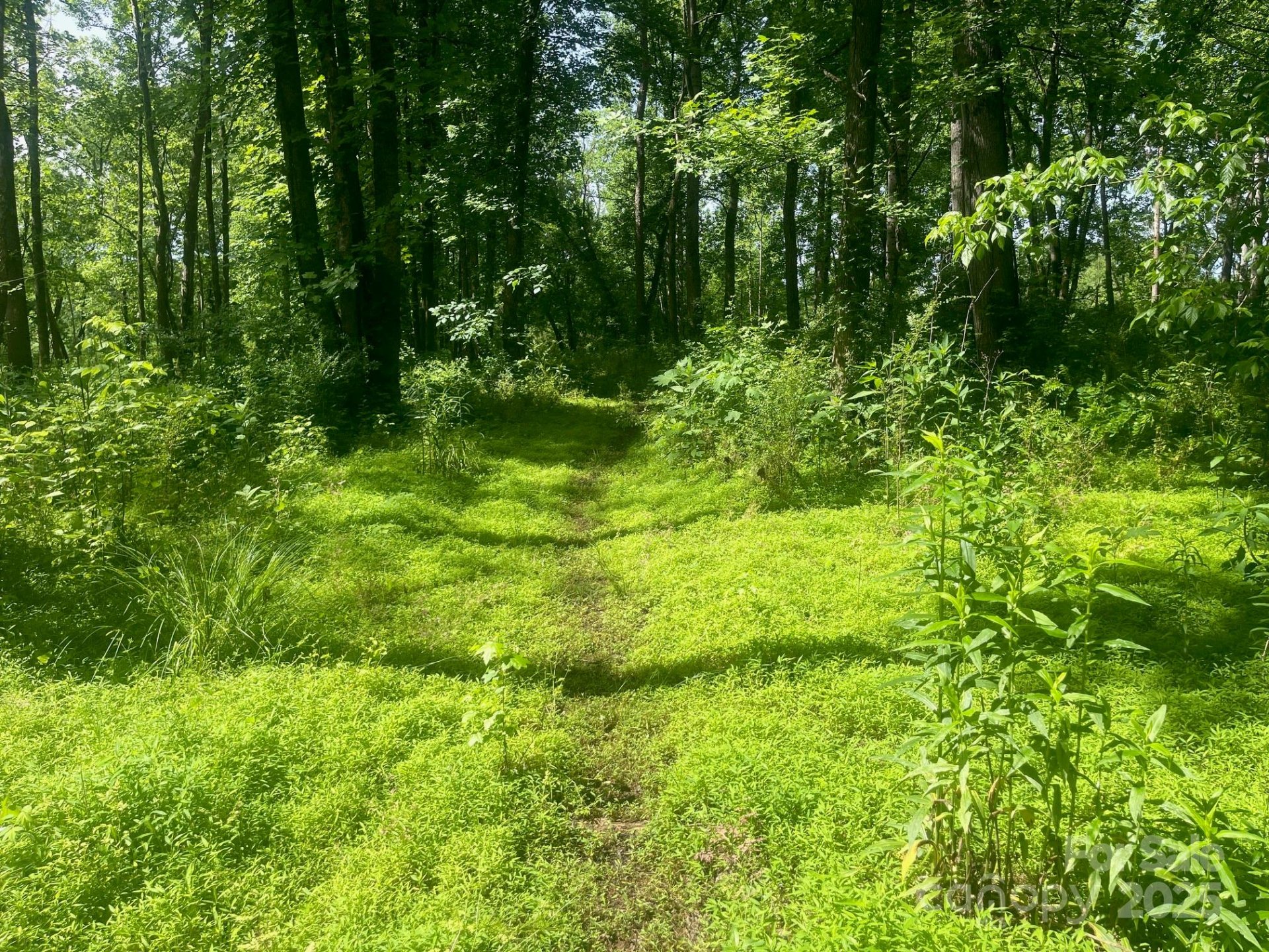 Property image 2 at Lot 149 Lookout Dam Road, Statesville, NC 28625