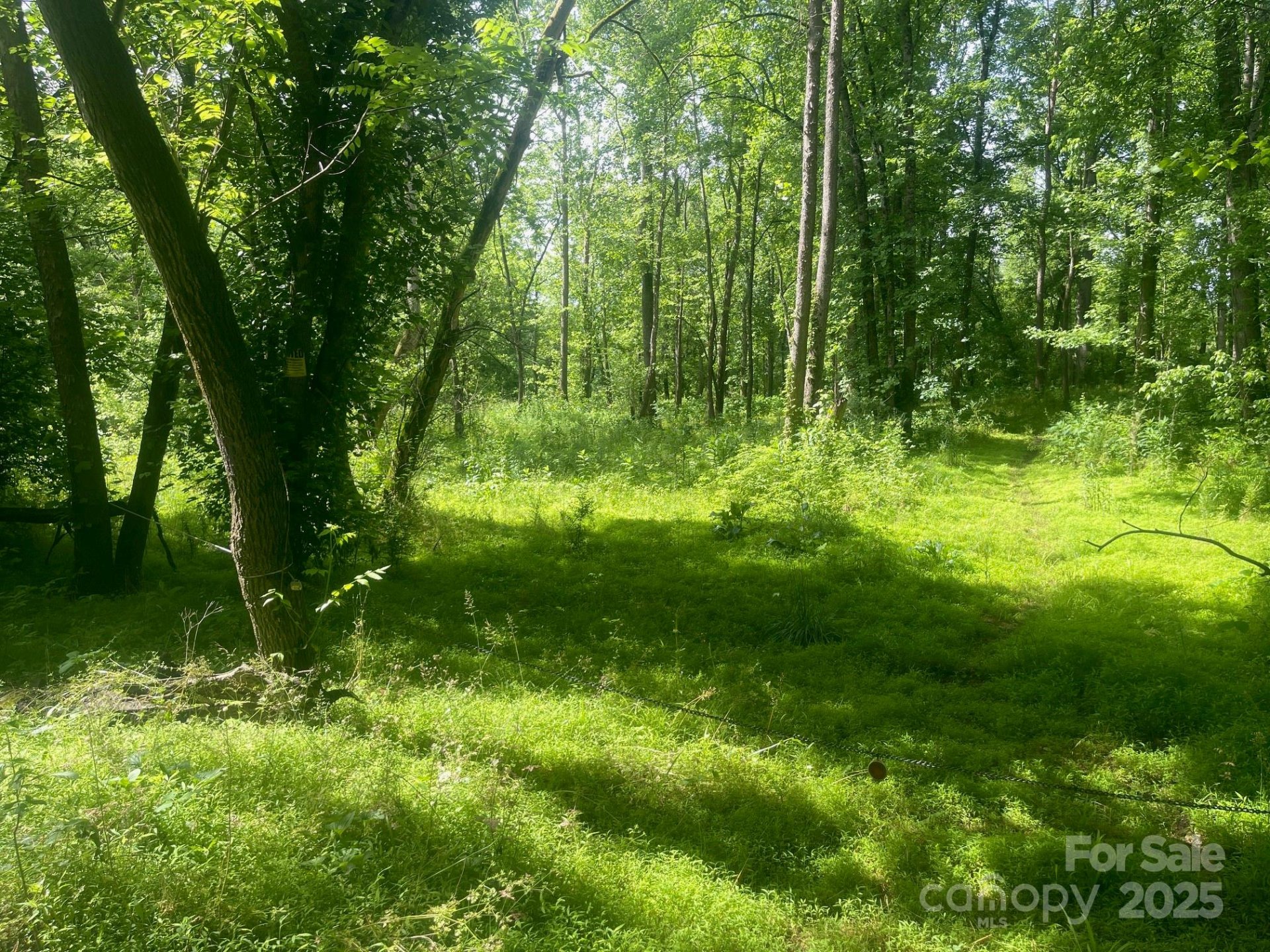 Property image 3 at Lot 149 Lookout Dam Road, Statesville, NC 28625