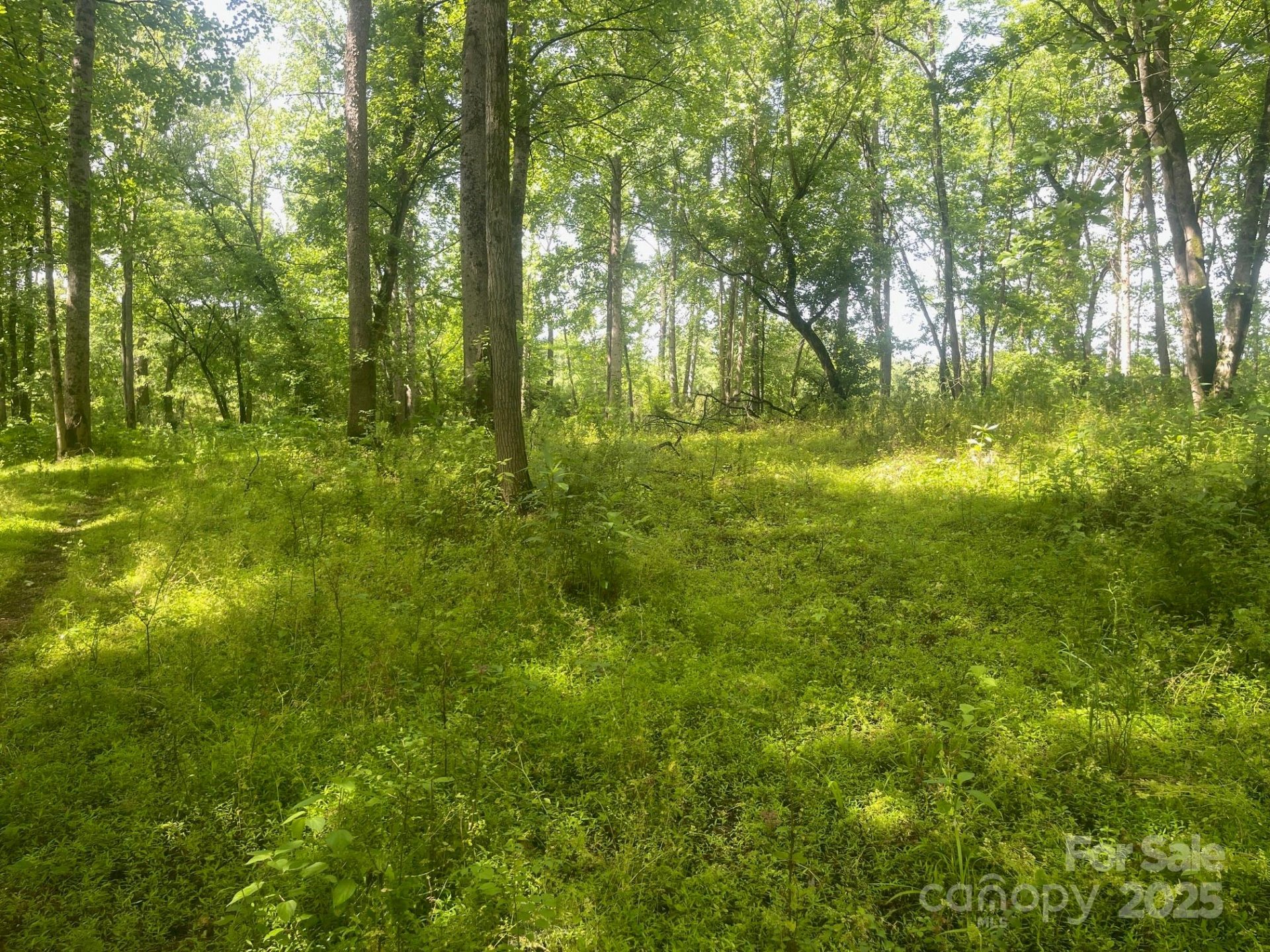Property image 5 at Lot 149 Lookout Dam Road, Statesville, NC 28625