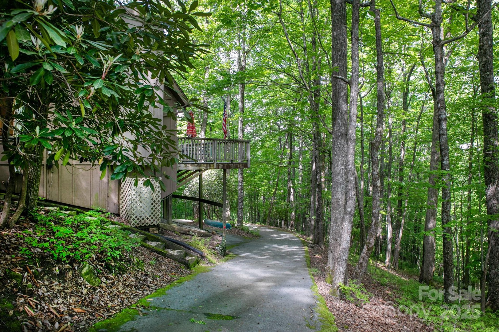 Property image 3 at 455 Cheestoonaya Way, Brevard, NC 28712