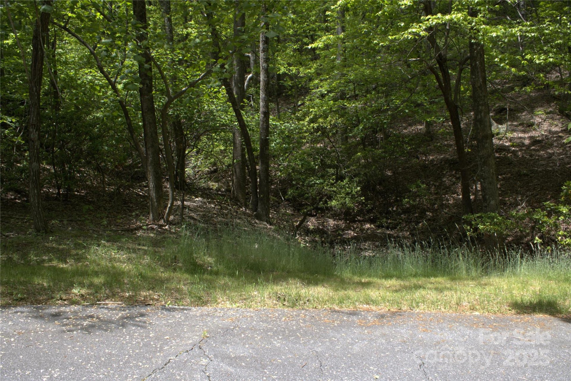 Property at 0 Blockaders Den None, Columbus, NC 28722