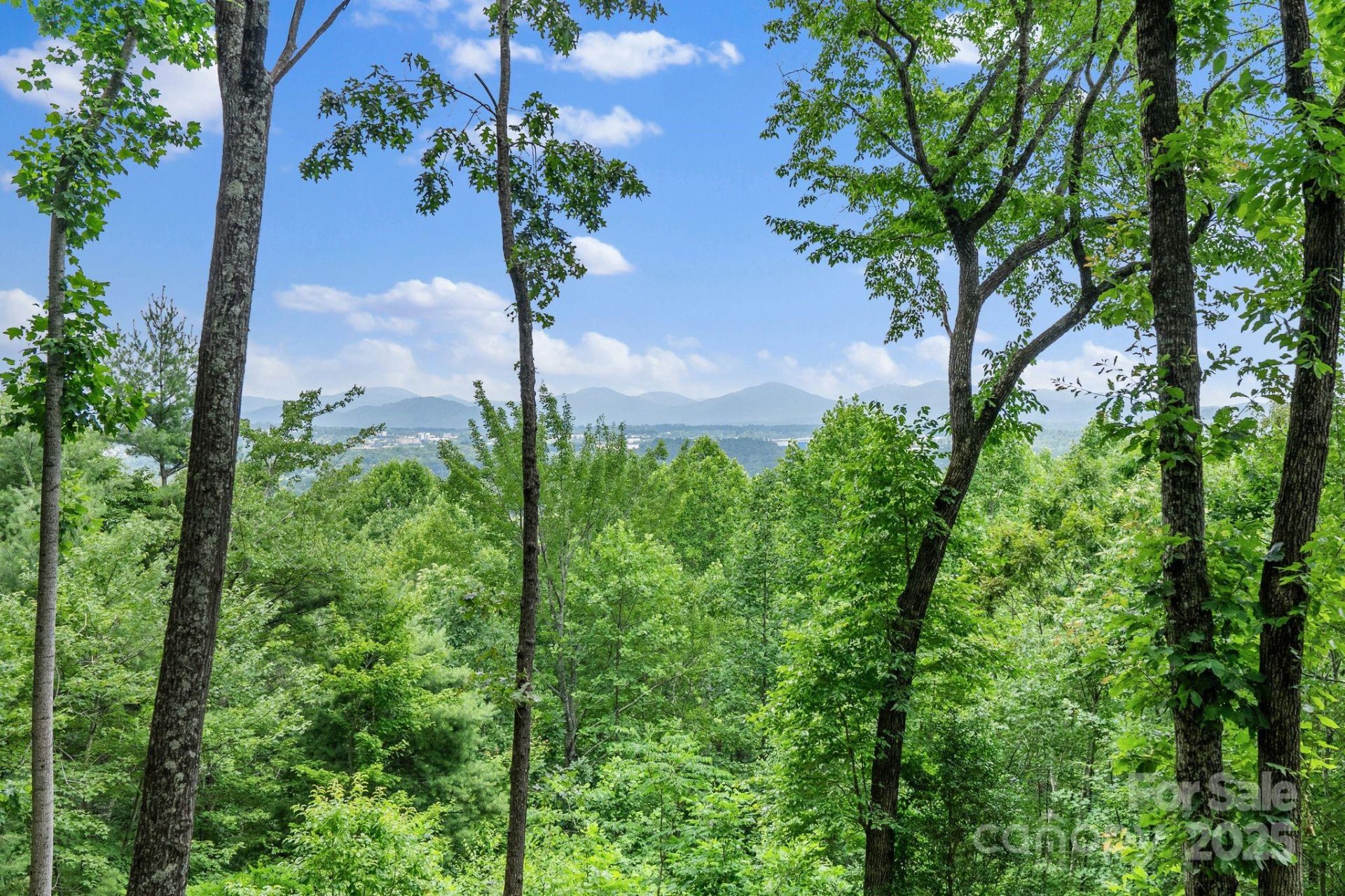 Property image 3 at 120 Split Rock Trail, Arden, NC 28704