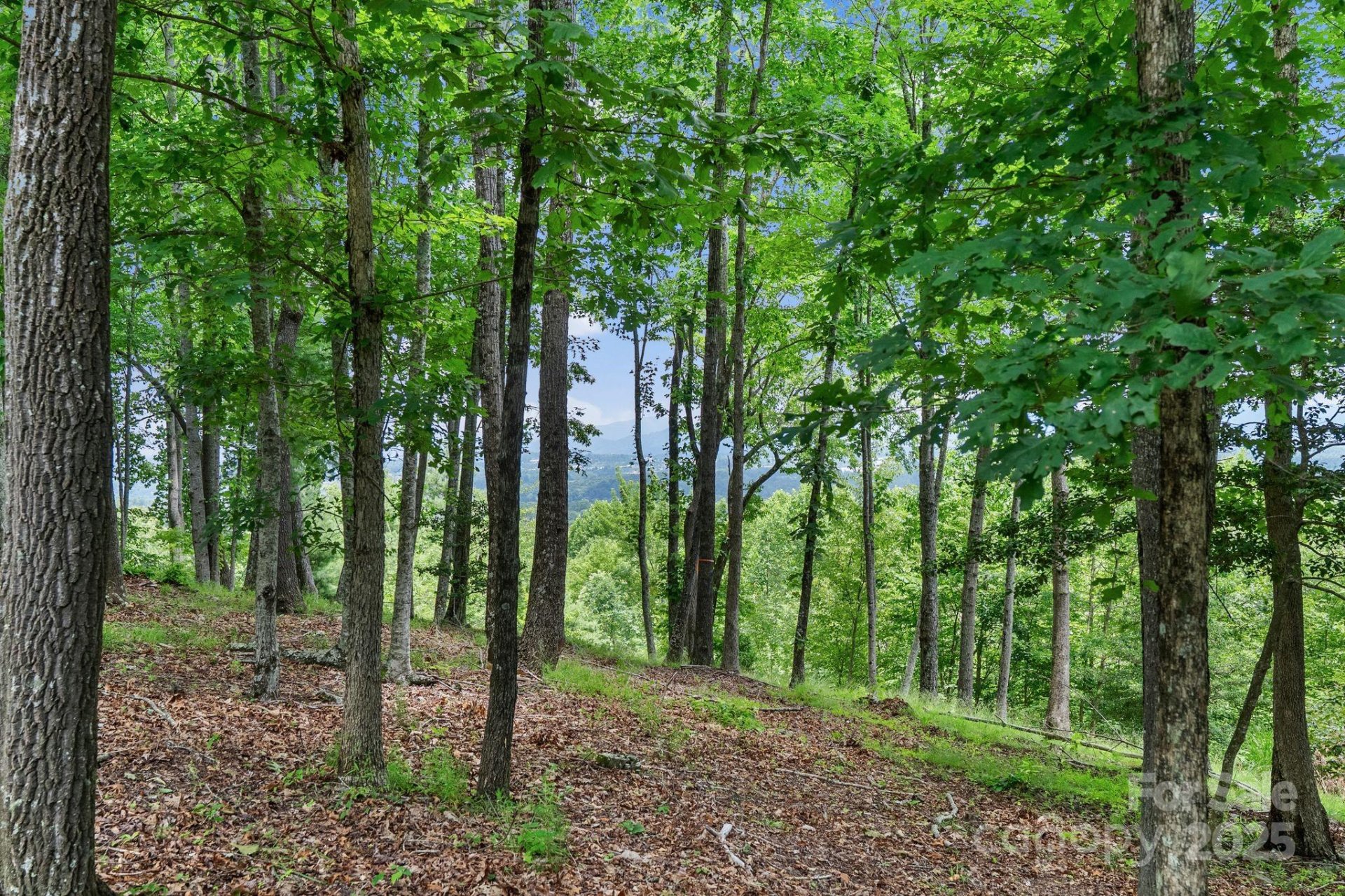 Property image 5 at 120 Split Rock Trail, Arden, NC 28704