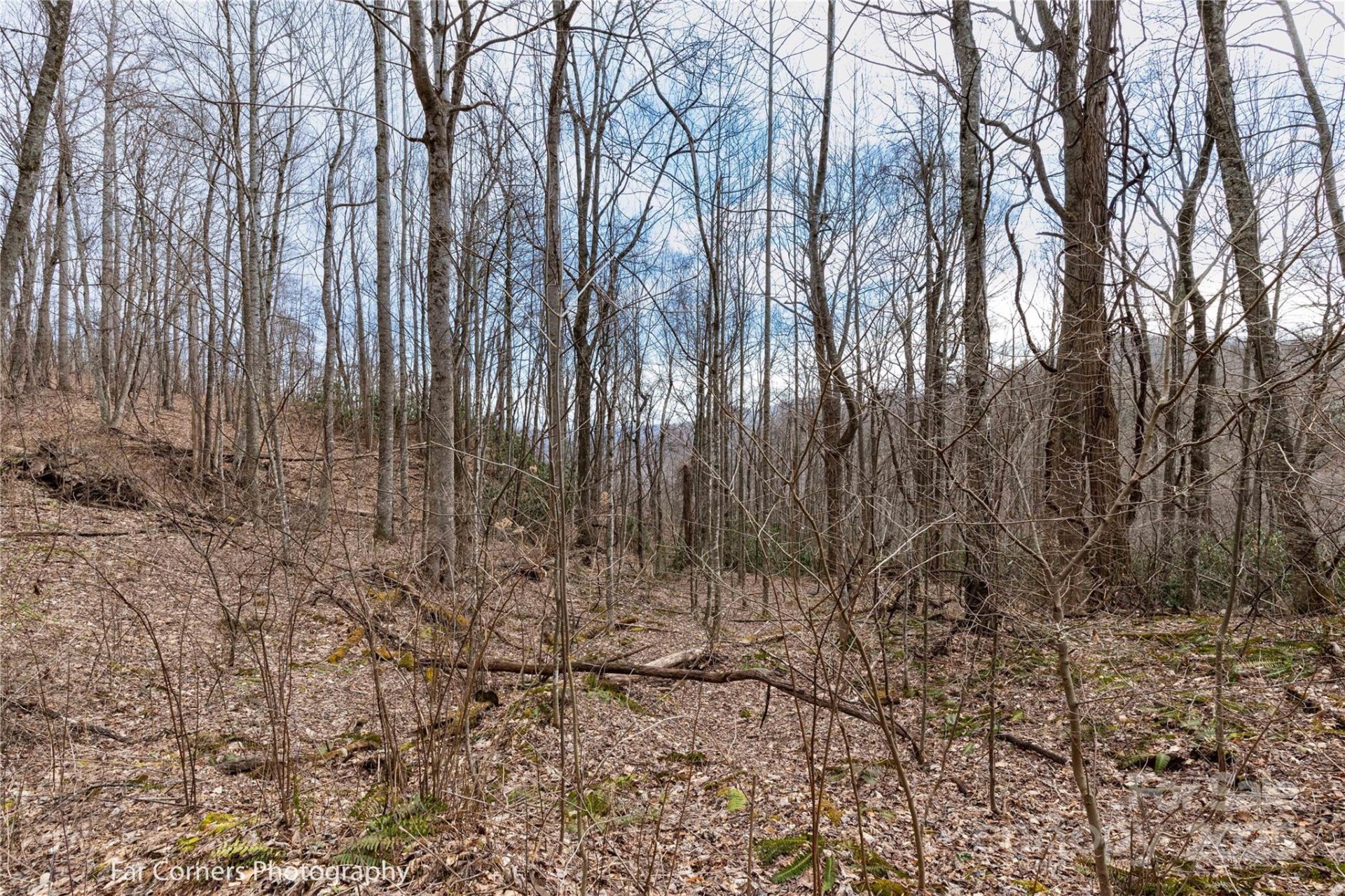 Property image 3 at 9 Chandra Lane, Clyde, NC 28721