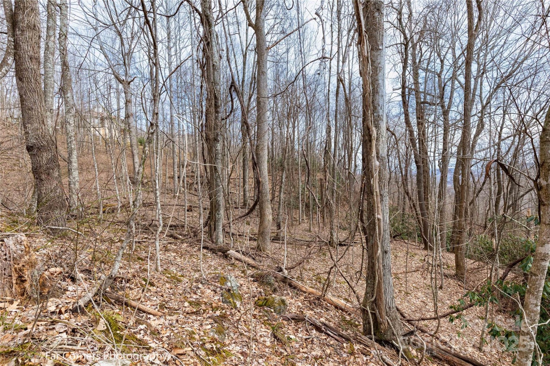 Property image 4 at 9 Chandra Lane, Clyde, NC 28721