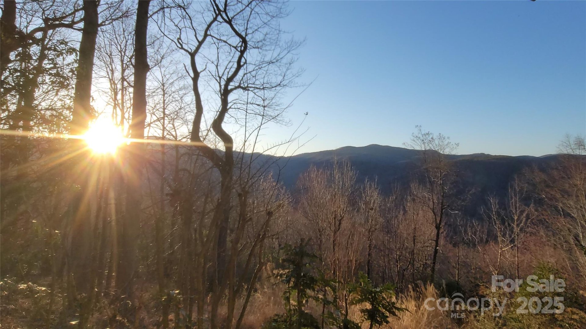 Property image 3 at 698 Youngs Mountain Drive, Lake Lure, NC 28746