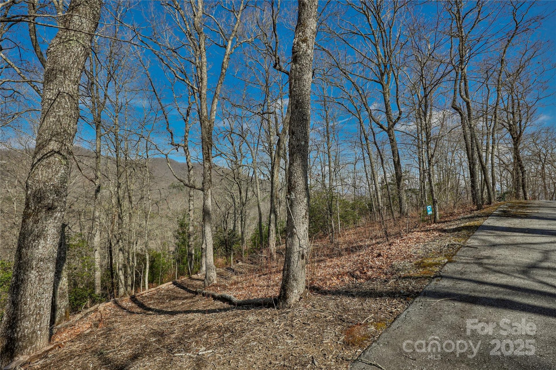 Property image 2 at Lots 82 85 Waterdance Drive, Tuckasegee, NC 28783