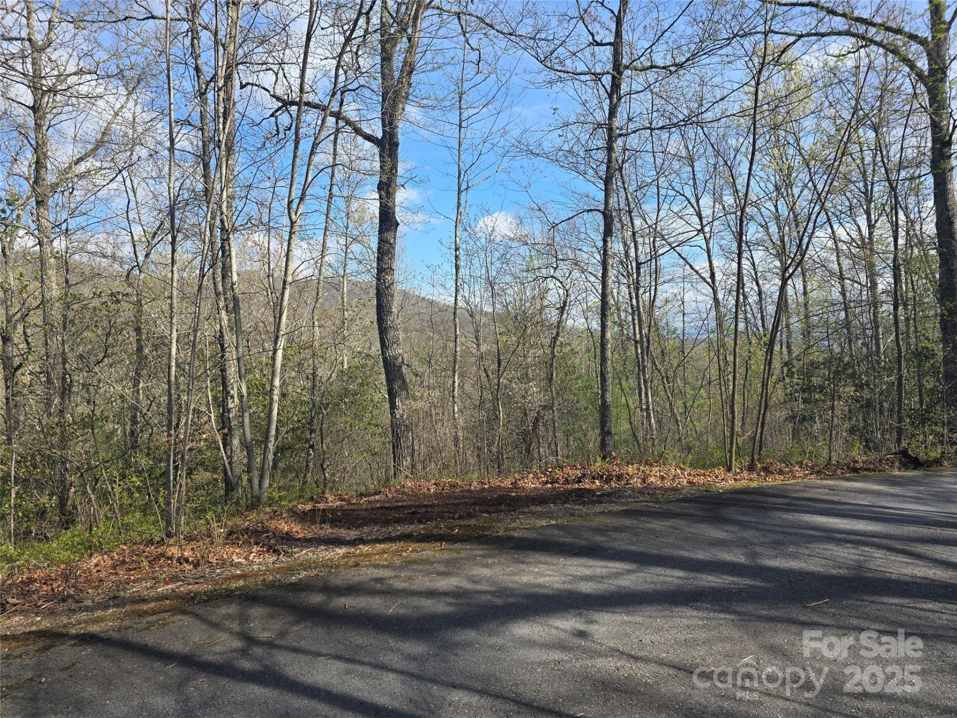 Property image 5 at Lots 82 85 Waterdance Drive, Tuckasegee, NC 28783
