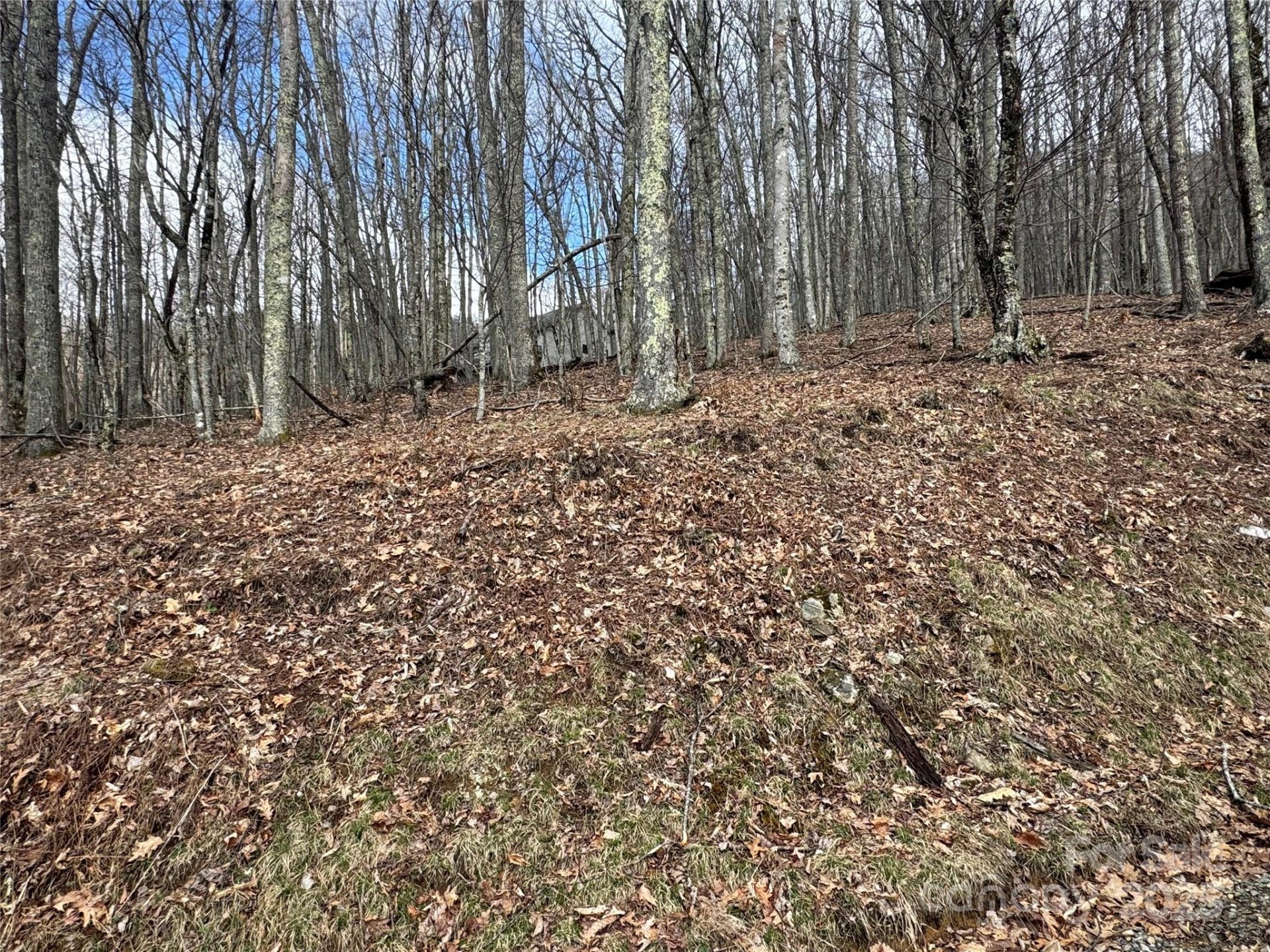 Property at 344 Tearshirt Lane, Mars Hill, NC 28754