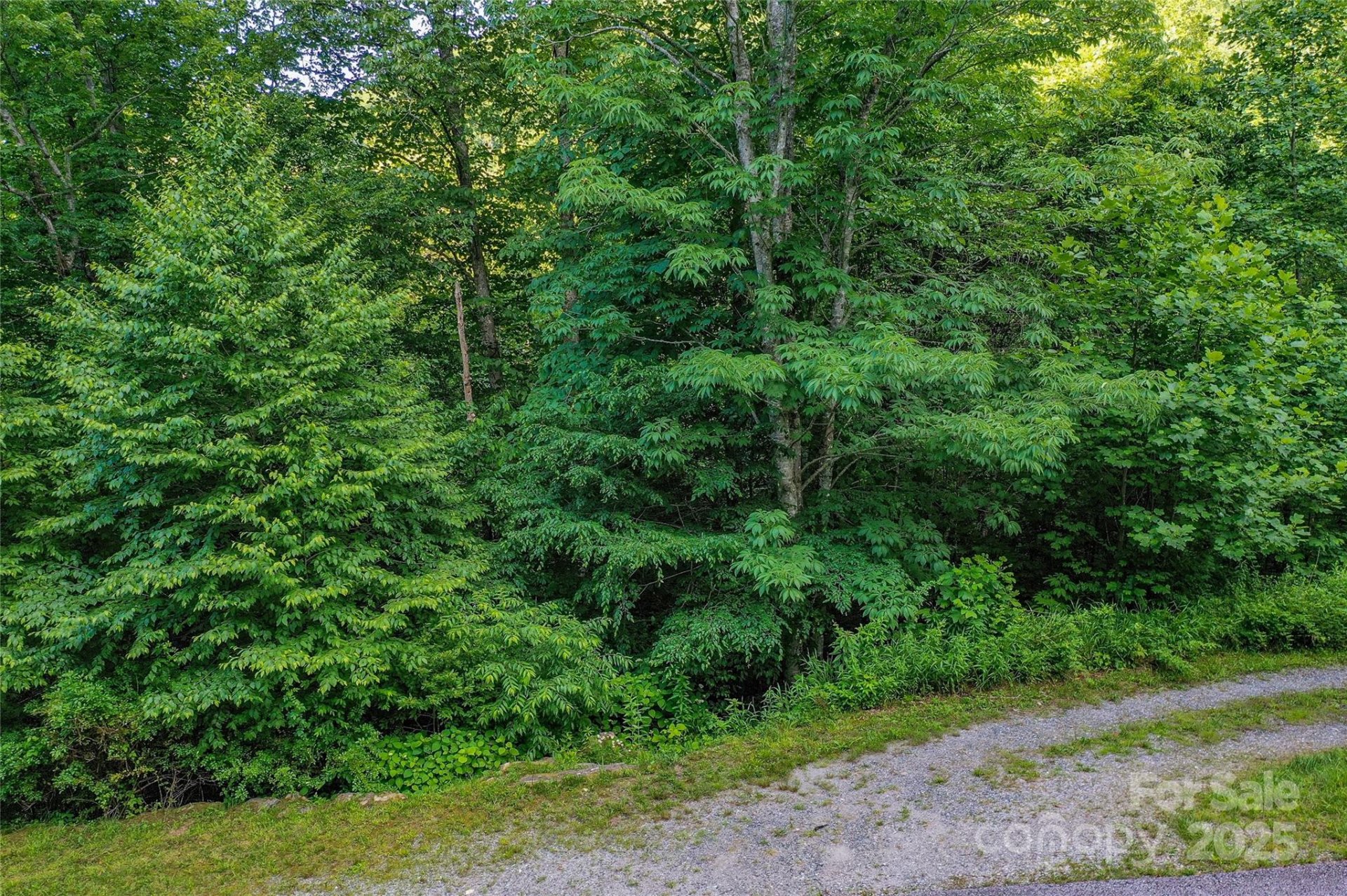 Property image 2 at Lot 13 Hares Ear Lane, Tuckasegee, NC 28783