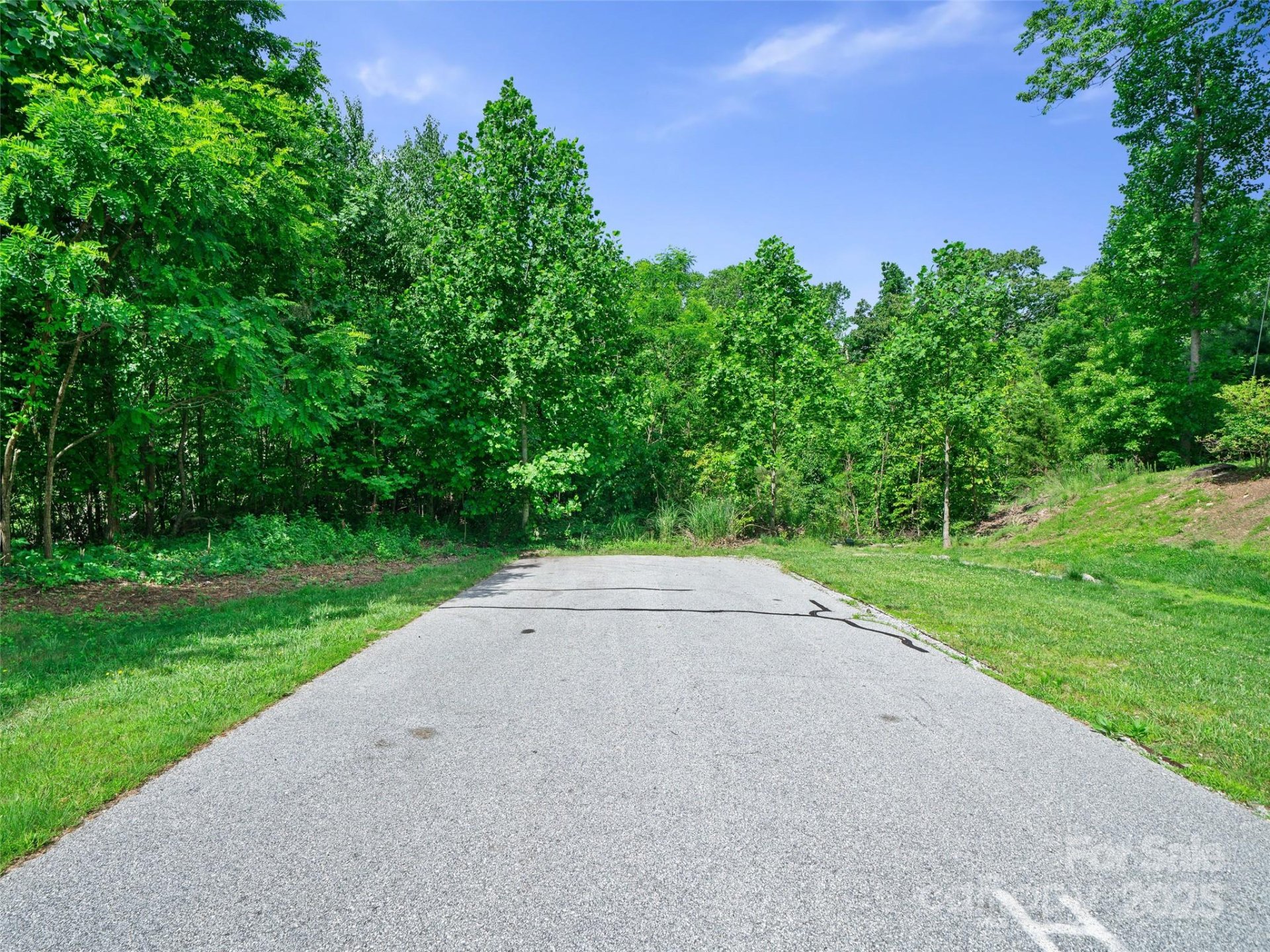 Property image 4 at 99999 Millbrae Loop, Hendersonville, NC 28791