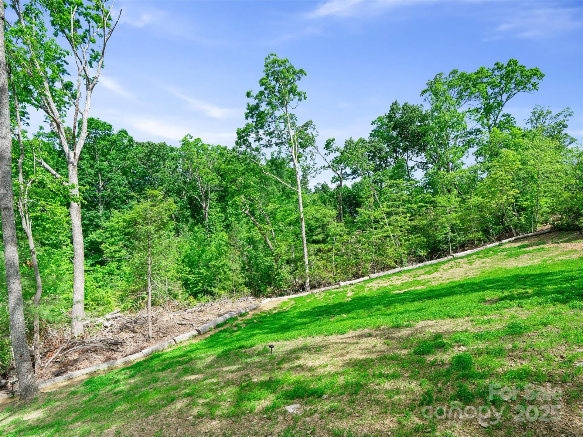 Property image 5 at 99999 Millbrae Loop, Hendersonville, NC 28791