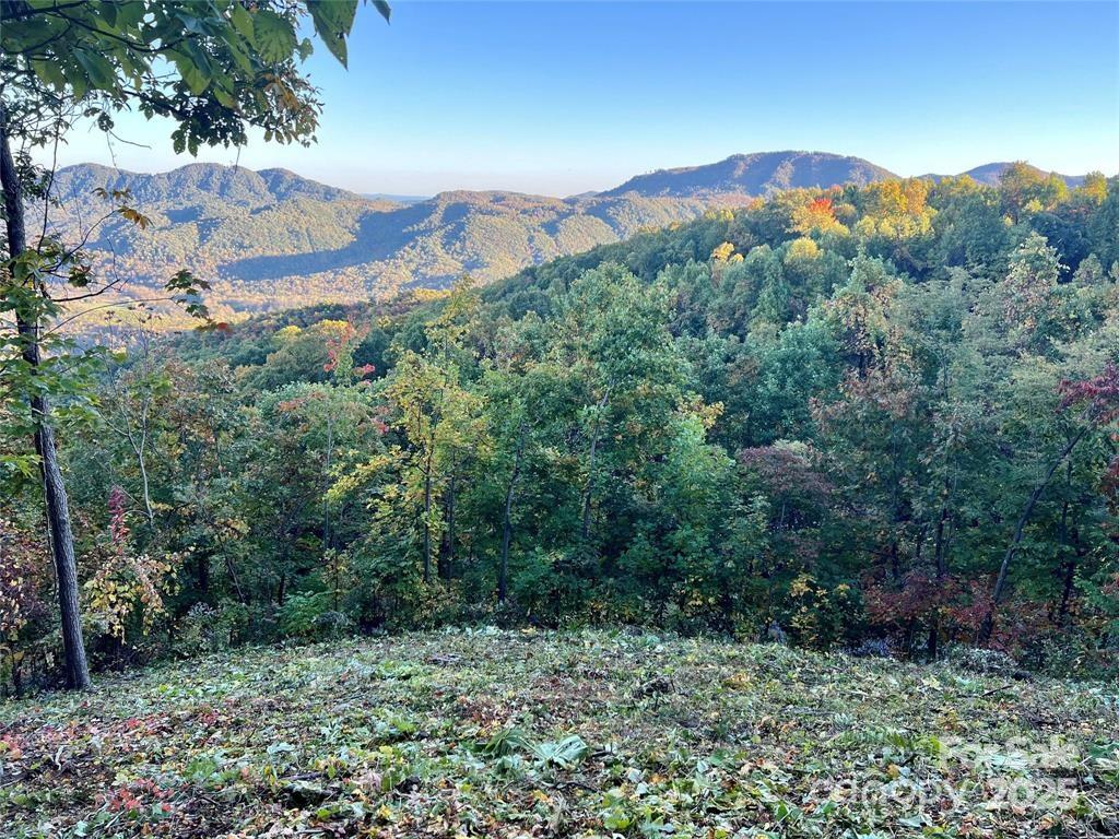 Property at 1591 Creston Drive, Black Mountain, NC 28711
