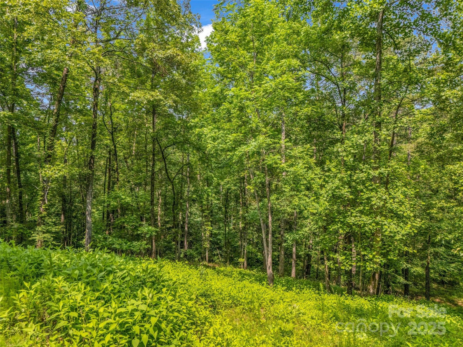 Property image 3 at 0 Creekside Circle, Rutherfordton, NC 28139