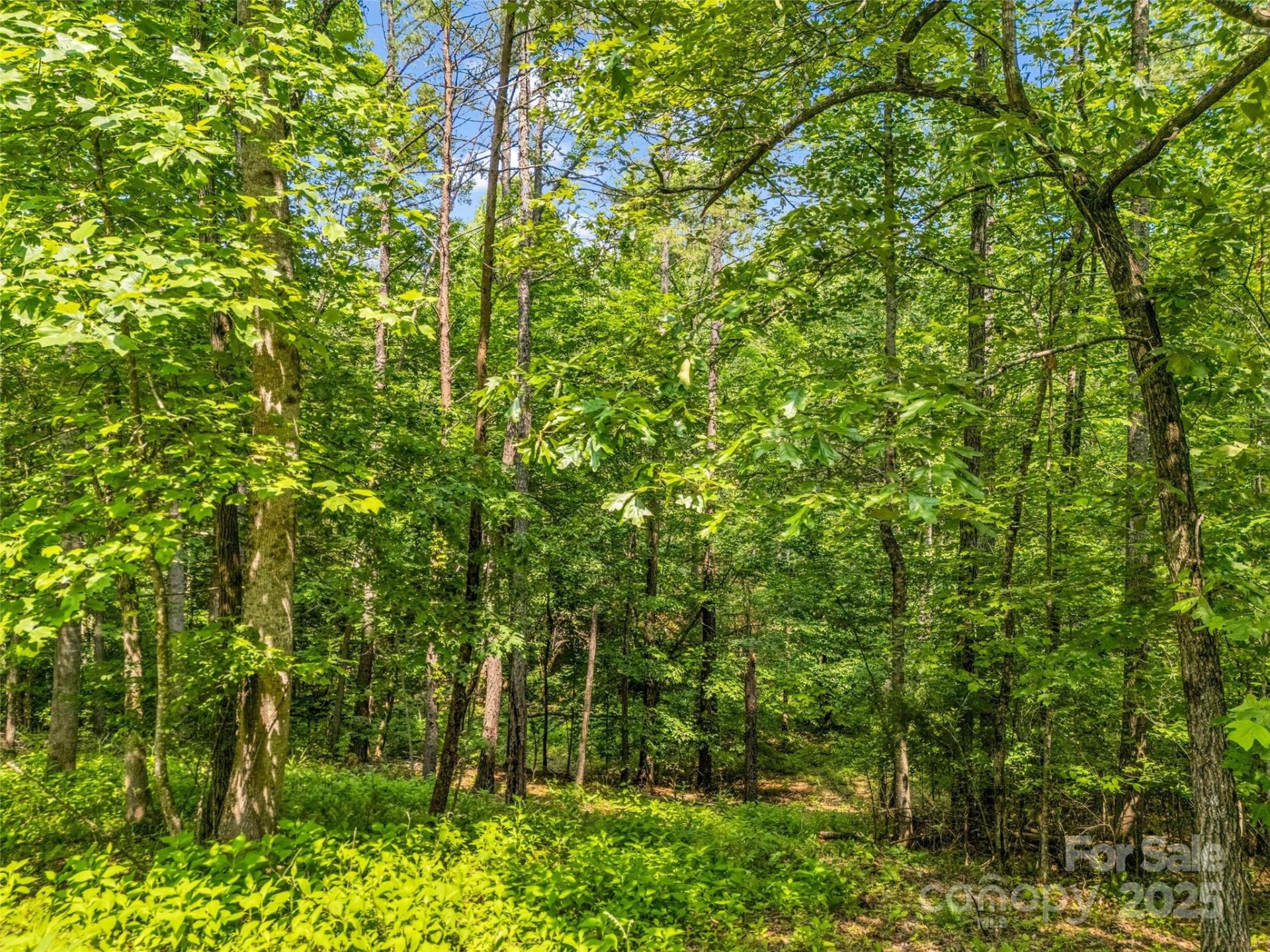 Property image 4 at 0 Creekside Circle, Rutherfordton, NC 28139