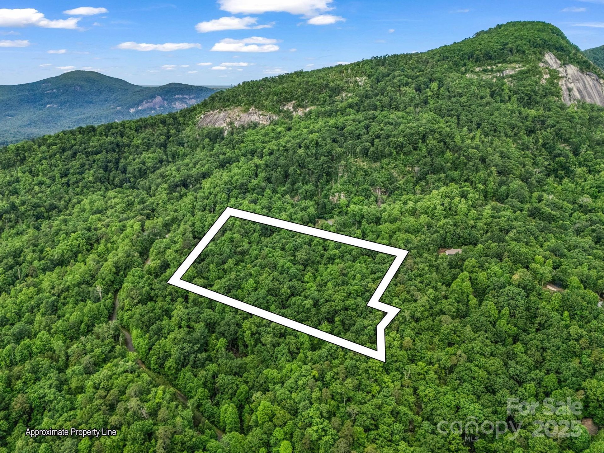 Property image 4 at 176 High Road Court, Lake Lure, NC 28746