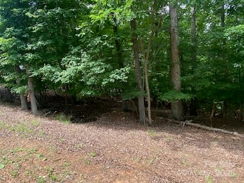 Property image 2 at 0 Woodrun Drive, Mount Gilead, NC 27306