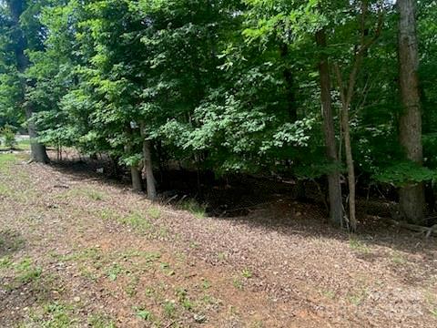 Property image 3 at 0 Woodrun Drive, Mount Gilead, NC 27306