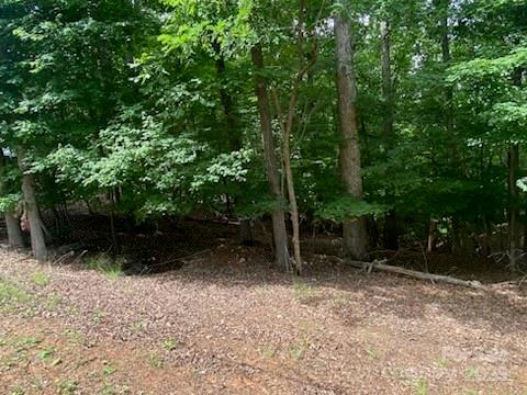 Property image 4 at 0 Woodrun Drive, Mount Gilead, NC 27306