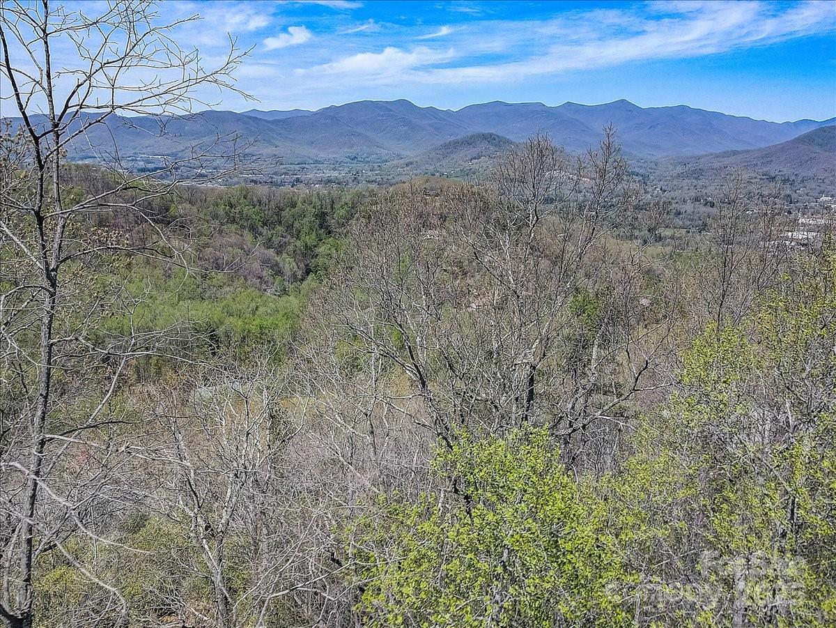37 Old Greybeard Loop